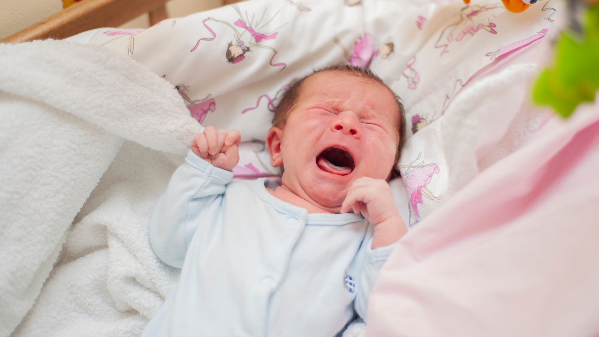 ​​dau-hieu-viem-phoi-o-tre-so-sinh​ 2.jpg