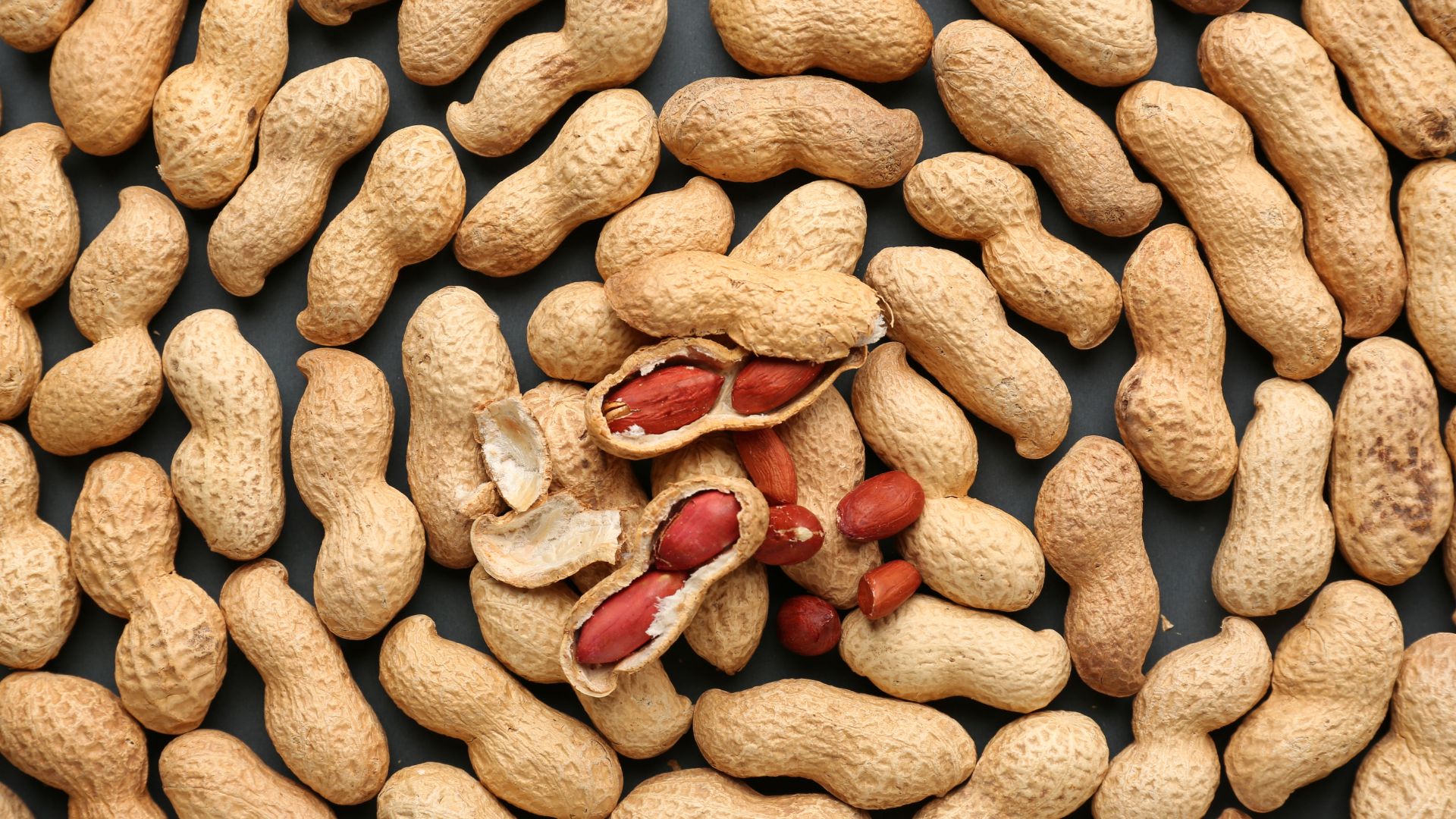 Đậu phộng bao nhiêu calo