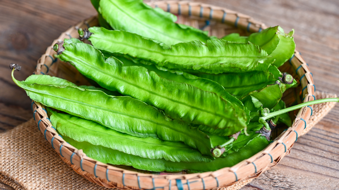 Đậu rồng có tác dụng gì? Những đối tượng không nên sử dụng 1