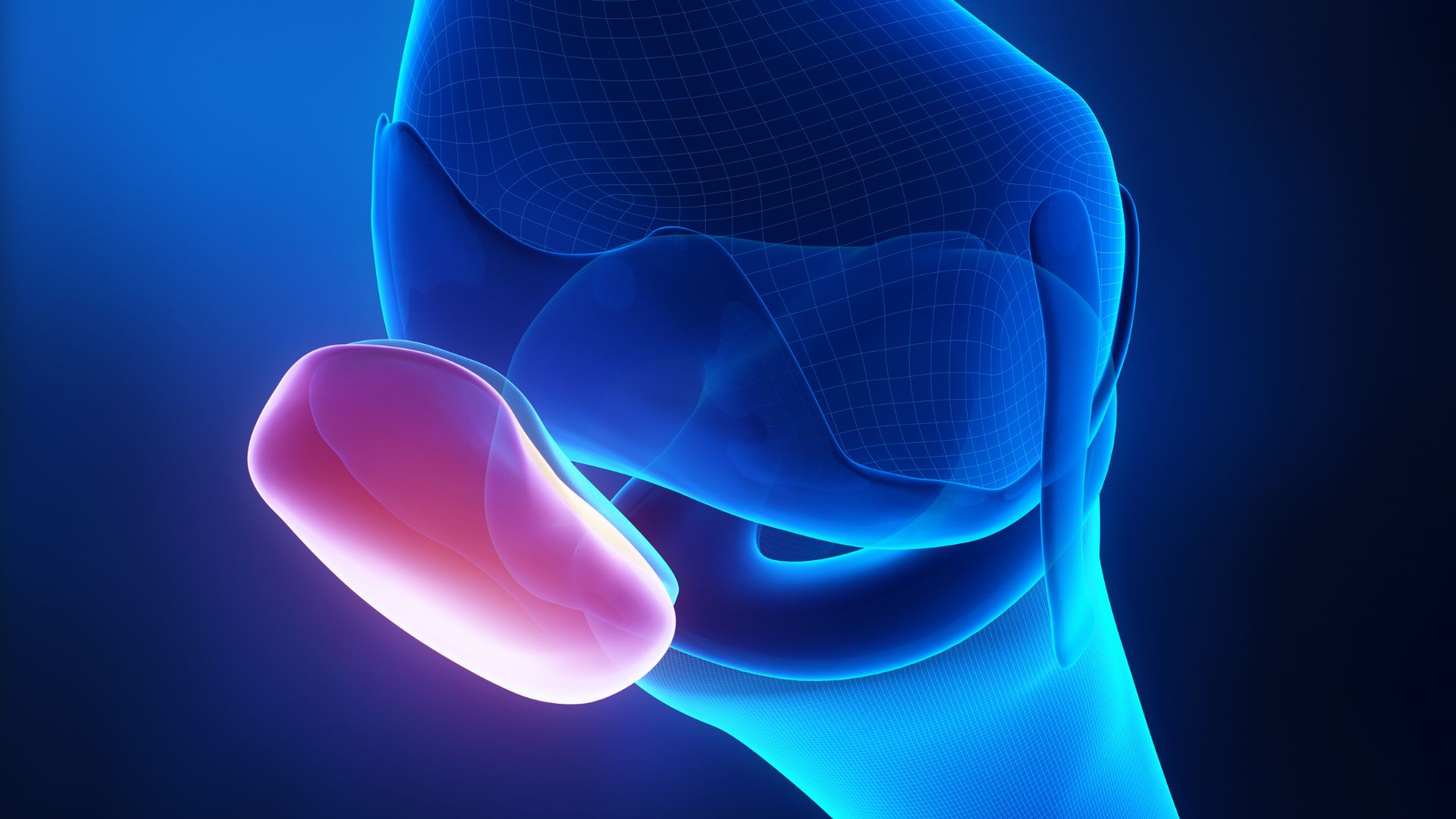 Dây chằng chéo trước là một trong 4 dây chính của khớp gối