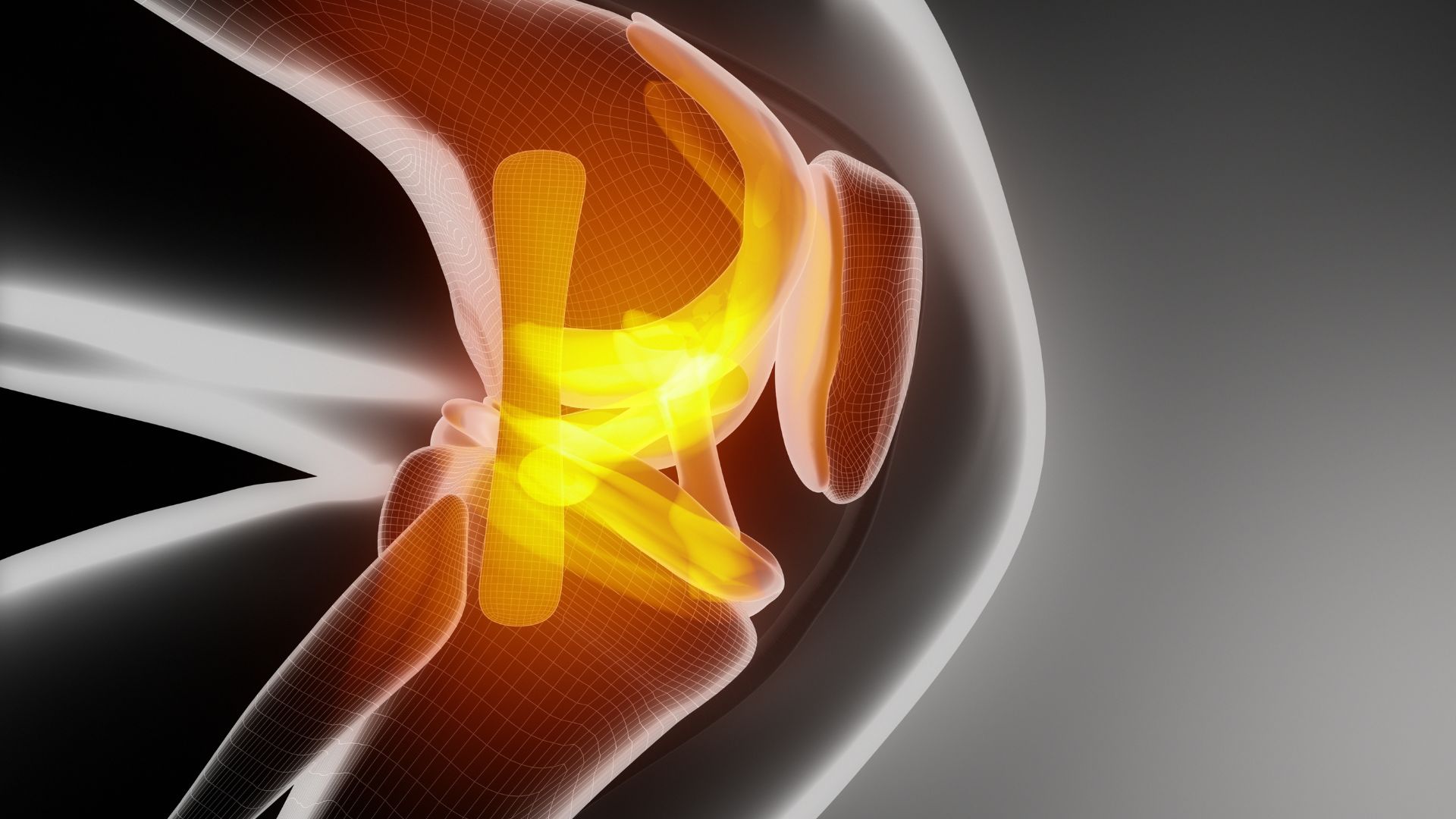 Dây chằng chéo trước hỗ trợ kiểm soát các chuyển động xoay của khớp gối