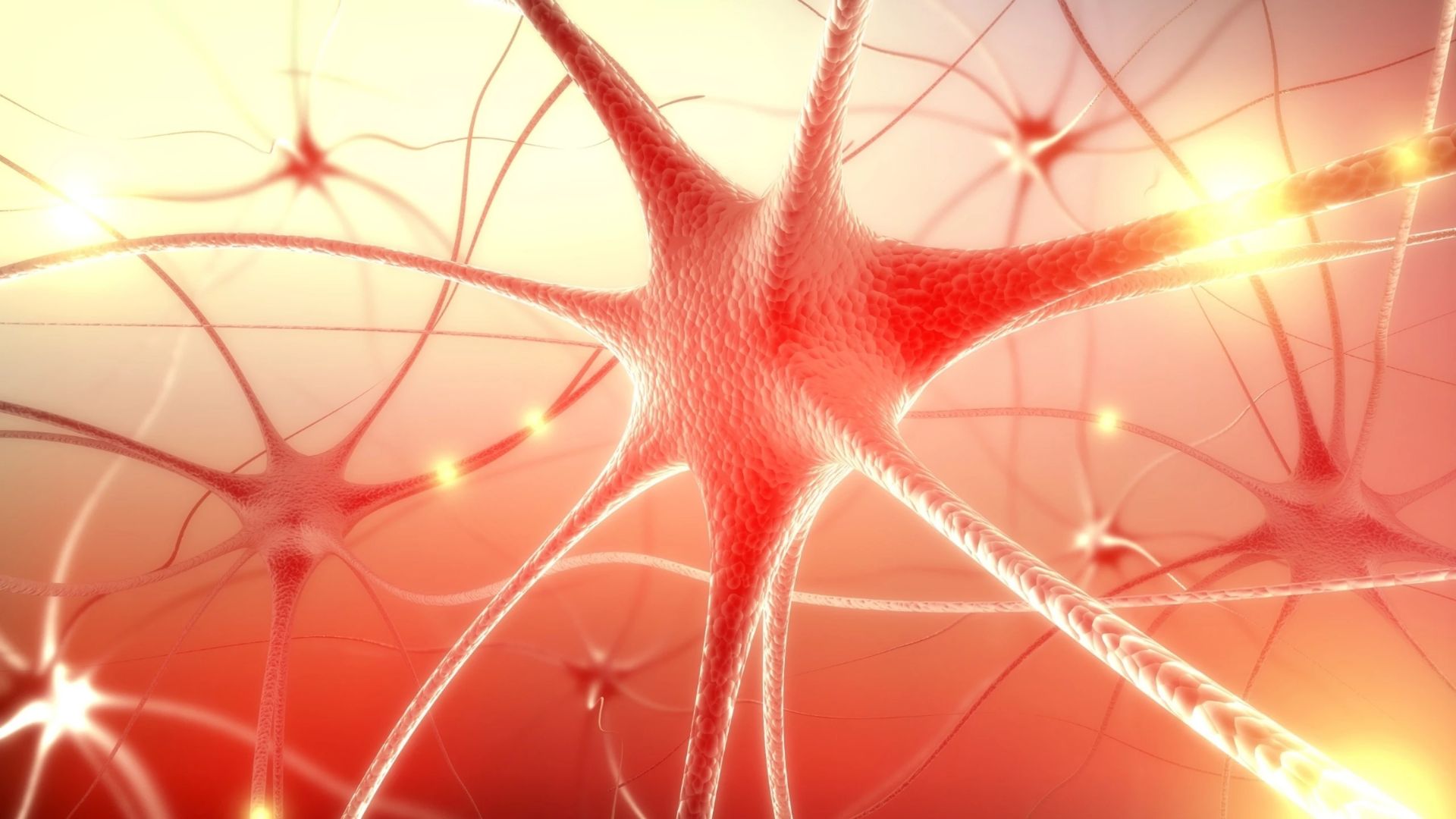 Bệnh lý thần kinh ngoại biên có thể là tác nhân gây tổn thương dây thần kinh số 11