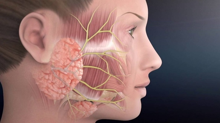 Dây thần kinh số 7 có vị trí và đường đi phức tạp