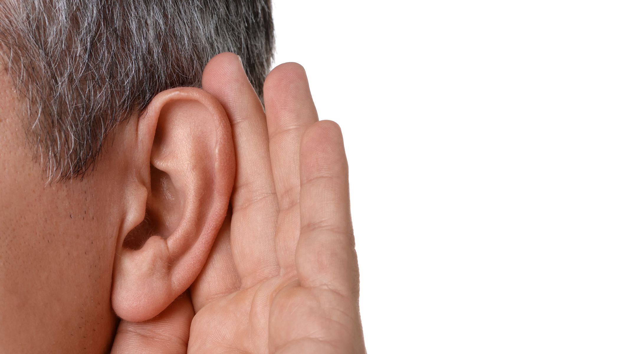 Dây thần kinh số 8 đảm nhiệm chức năng thính giác