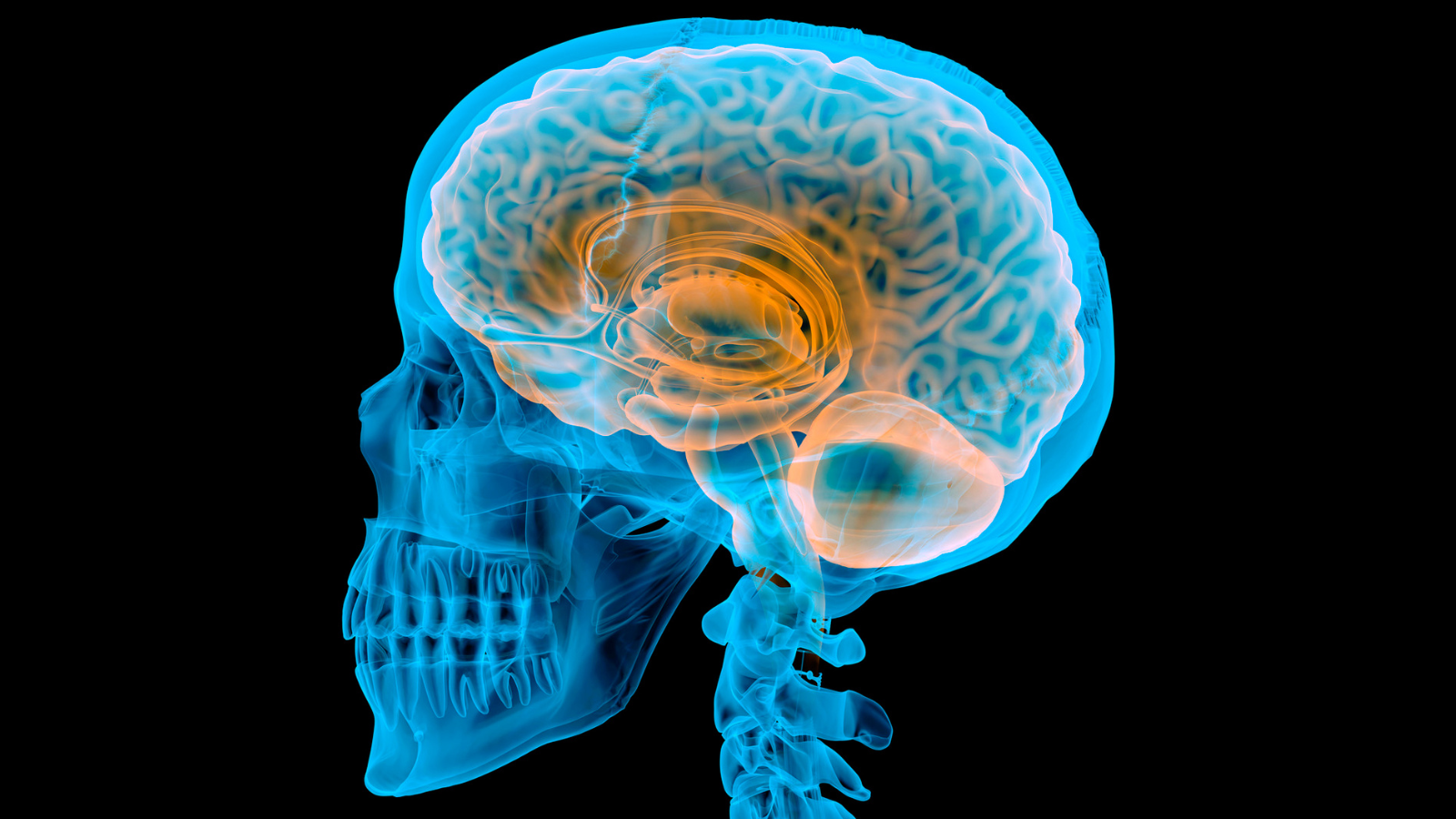 Dây thần kinh số 9 bắt đầu từ hành não