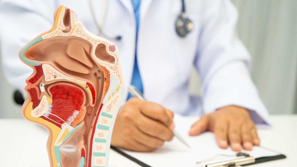 Dây thanh quản nằm bên trong thanh quản, đây là cơ quan nằm ngay phía trên khí quản và ngay sau trái cổ