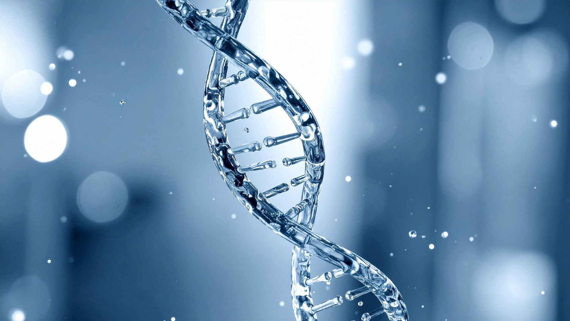 Di truyền được xem là nền tảng quyết định tiềm năng chiều cao tối đa của mỗi cá nhân