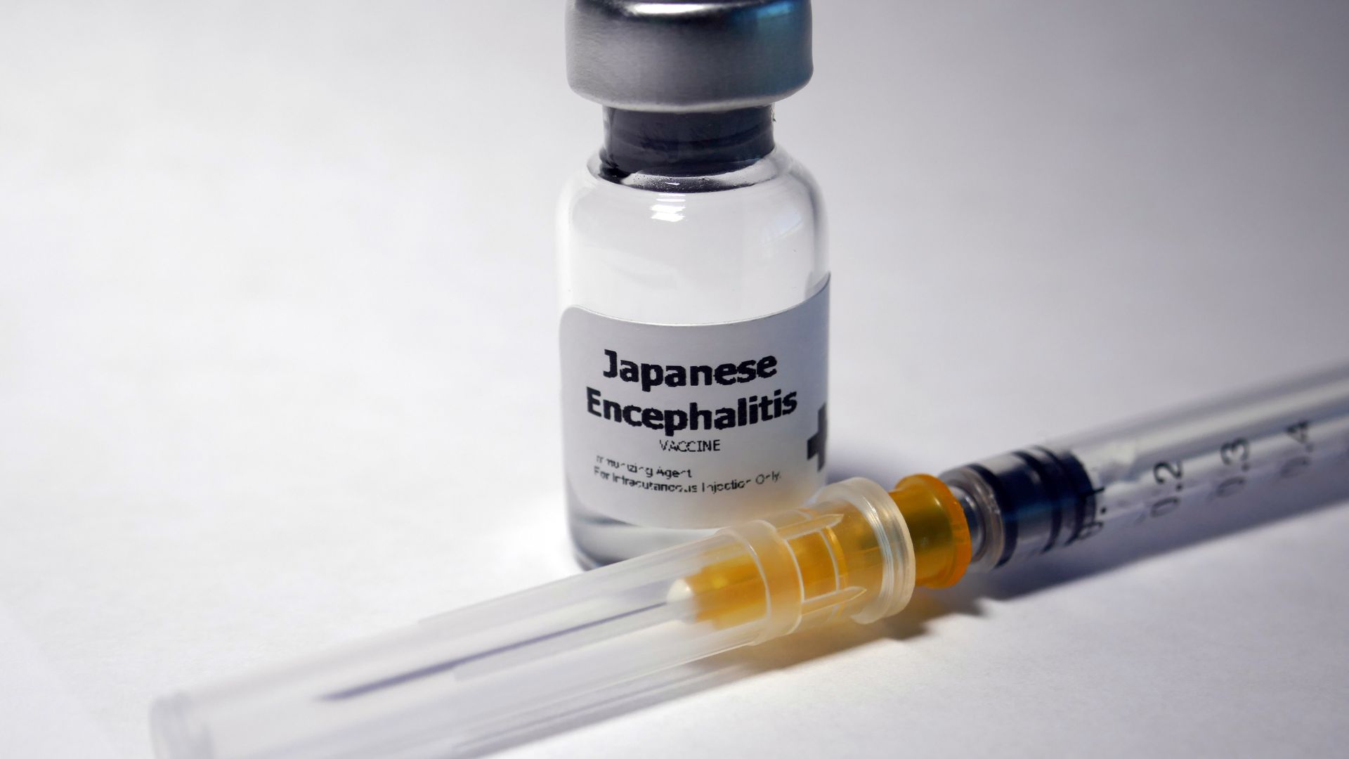 Tiêm vắc xin đúng lịch và chủ động tránh muỗi đốt là biện pháp phòng ngừa viêm não Nhật Bản