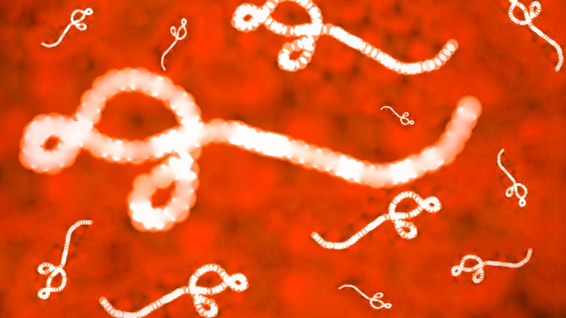 Dịch bệnh Ebola: Triệu chứng, nguyên nhân và cách phòng tránh hiệu quả 2