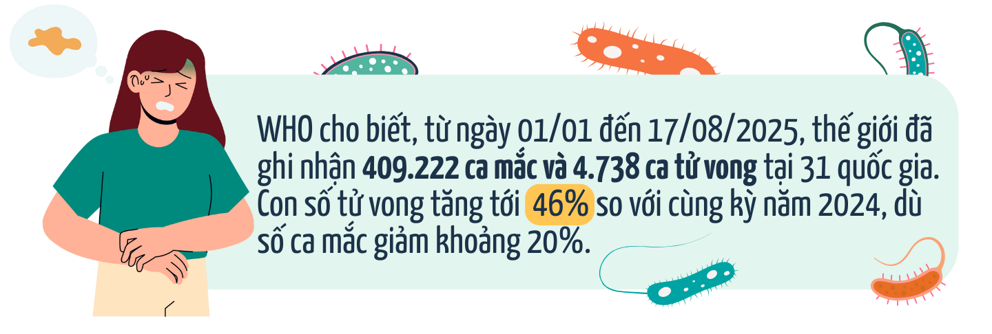 Dịch tả toàn cầu: Vì sao tử vong tăng 46% và đâu là 3 “lá chắn” phòng bệnh của Bộ Y tế? 1