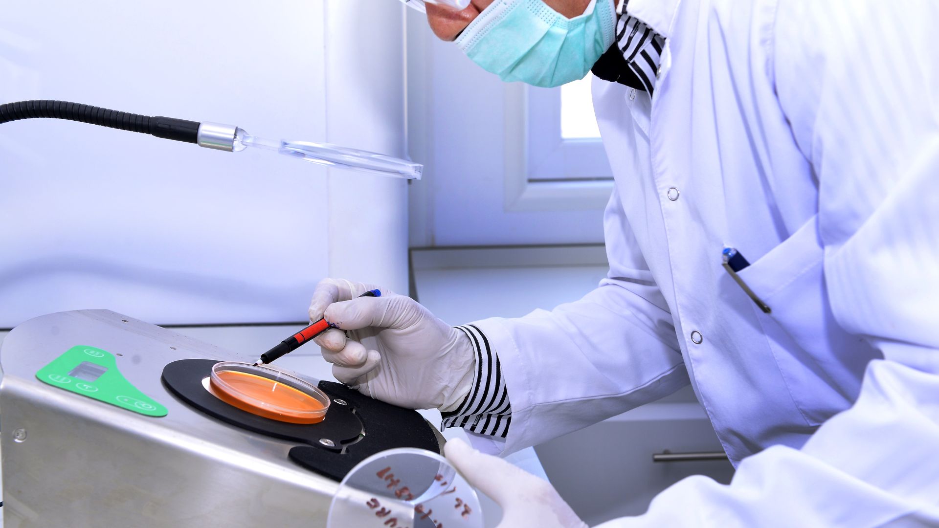 Điều trị viêm phổi do phế cầu khuẩn: Giải pháp hiệu quả từ y học hiện đại 2