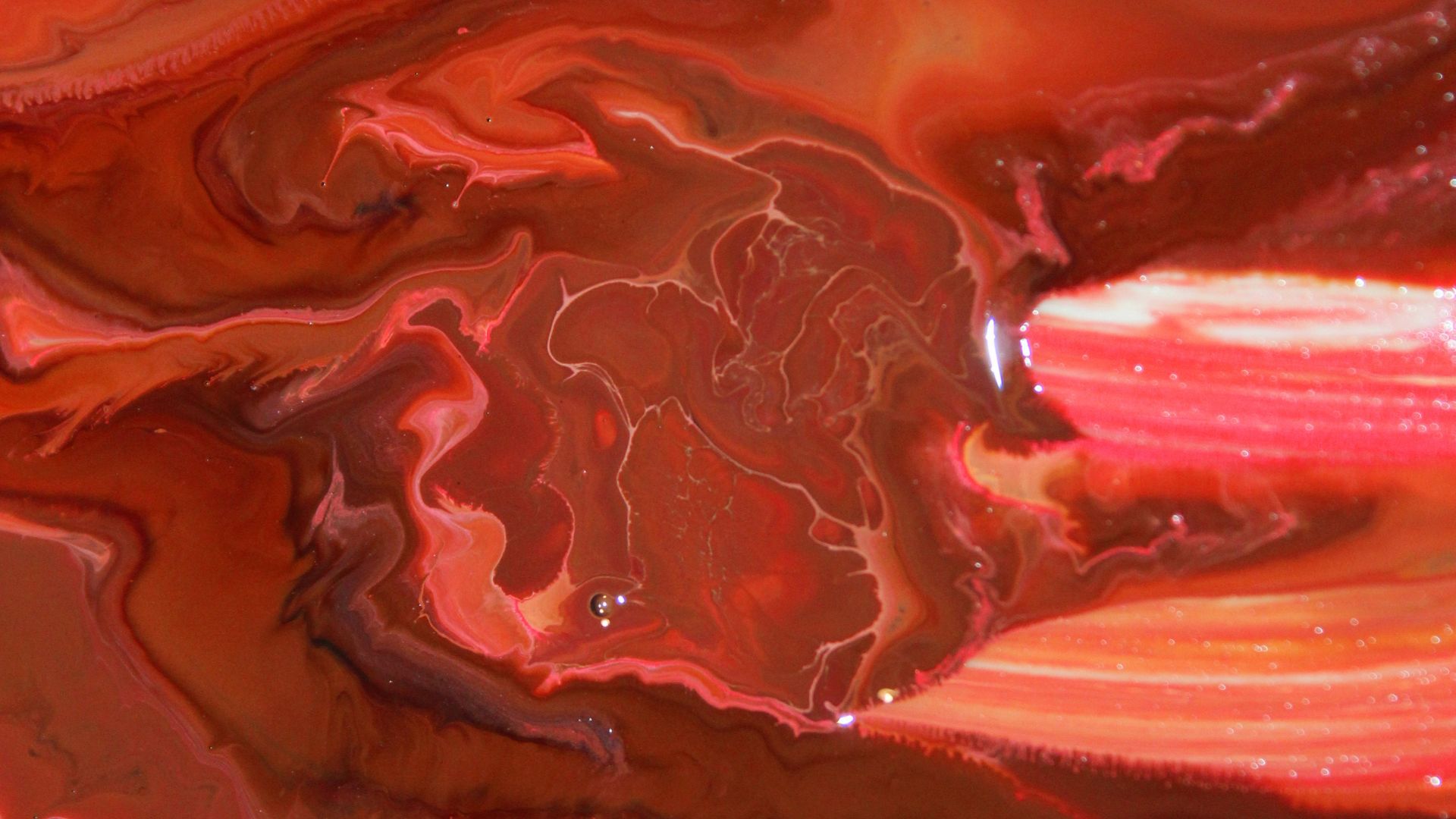 Haptoglobin đóng vai trò quan trọng trong việc nhận diện tan máu nội mạch bằng cách liên kết với hemoglobin tự do sau khi hồng cầu bị phá vỡ