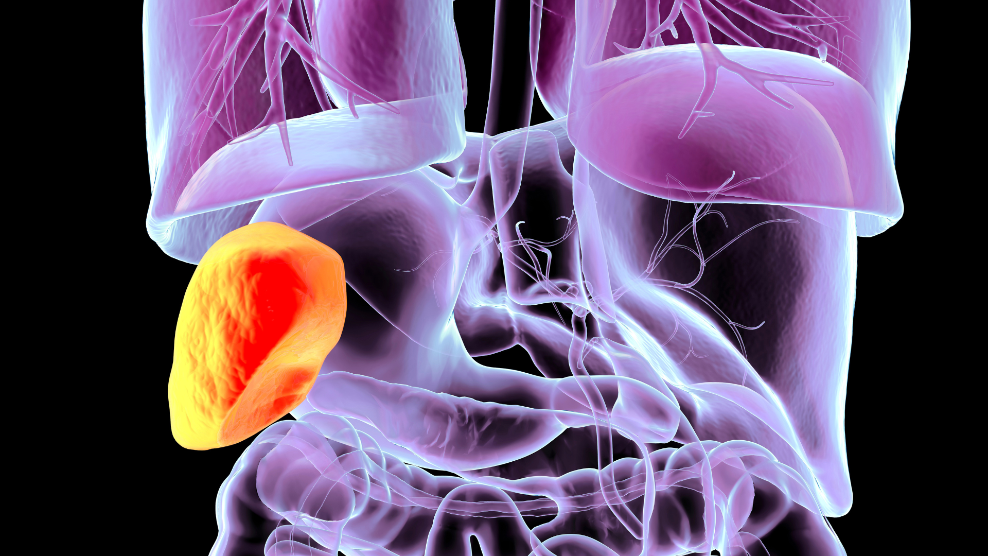 Độ lọc cầu thận phản ánh trực tiếp khả năng duy trì các chức năng sống quan trọng của cơ thể