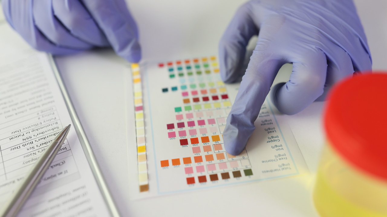 Kiểm tra độ pH bằng giấy thử thông qua hoạt động của thận và các cơ quan liên quan