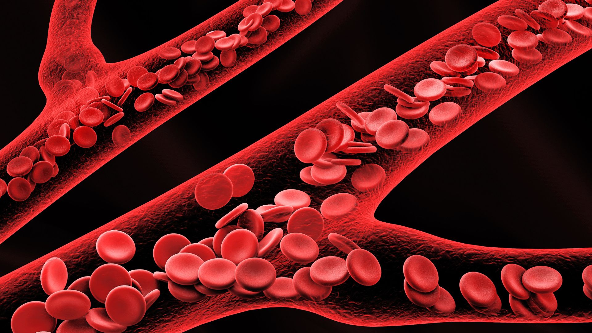 Động mạch gan riêng là đoạn tiếp nối sau khi động mạch gan tách nhanh