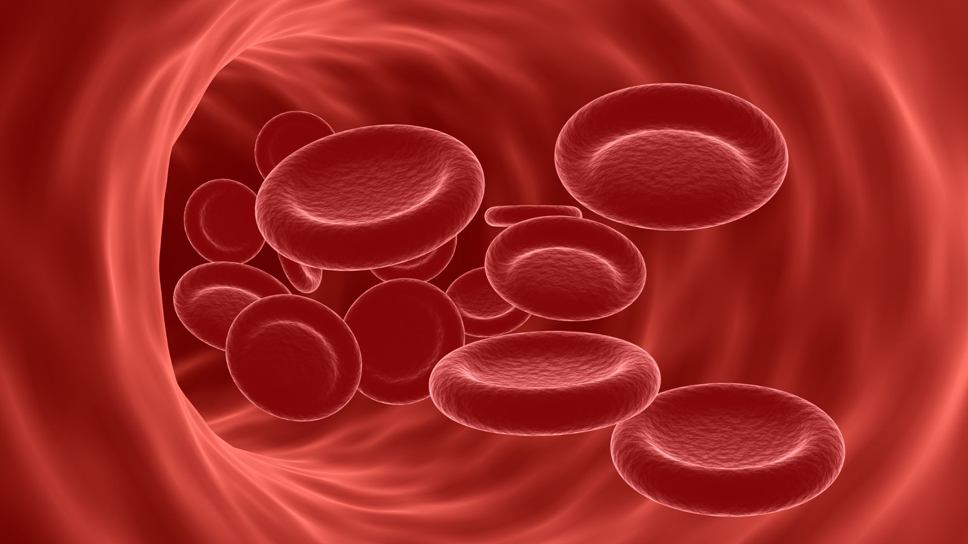 Động mạch có vai trò vận chuyển máu giàu oxy từ tim đến các cơ quan trong cơ thể