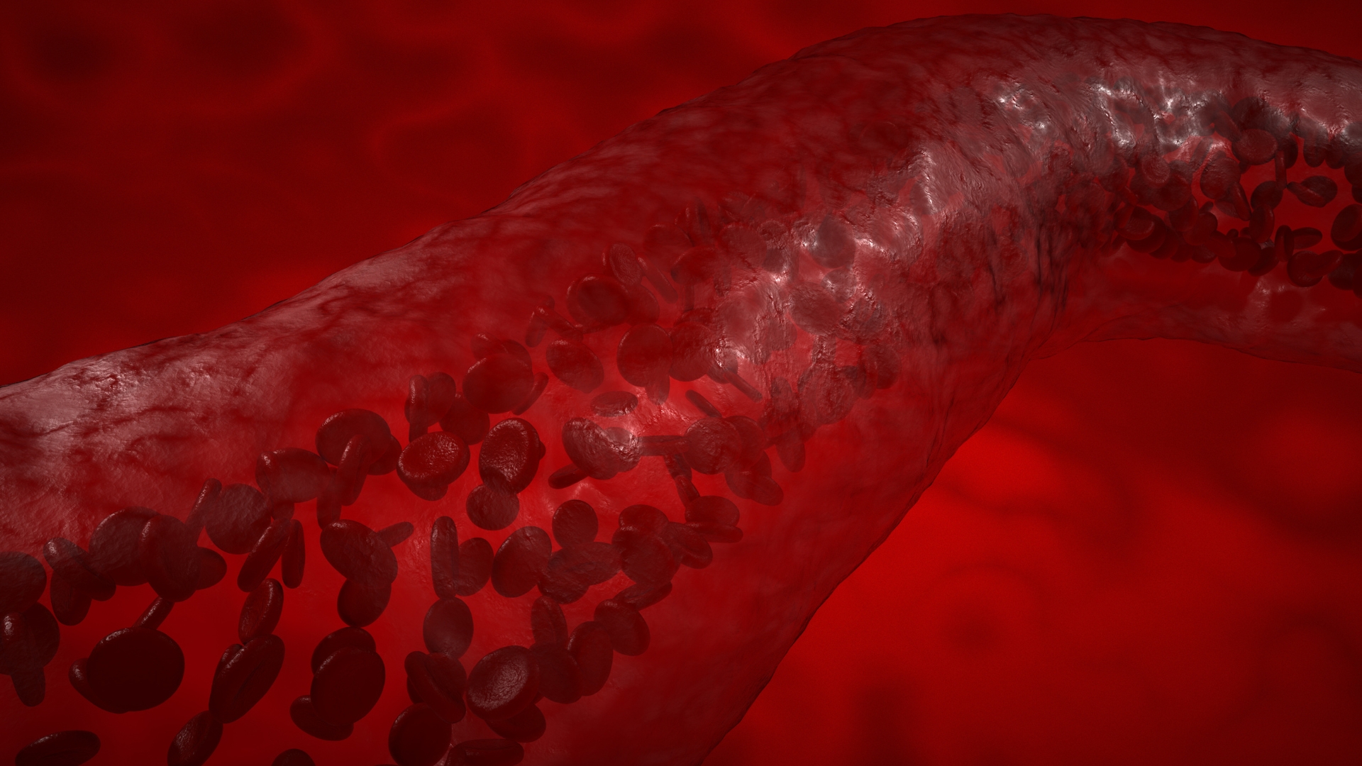 Hệ động mạch này không chỉ giúp vận chuyển máu nuôi thận mà còn để lọc máu và duy trì huyết áp ổn định