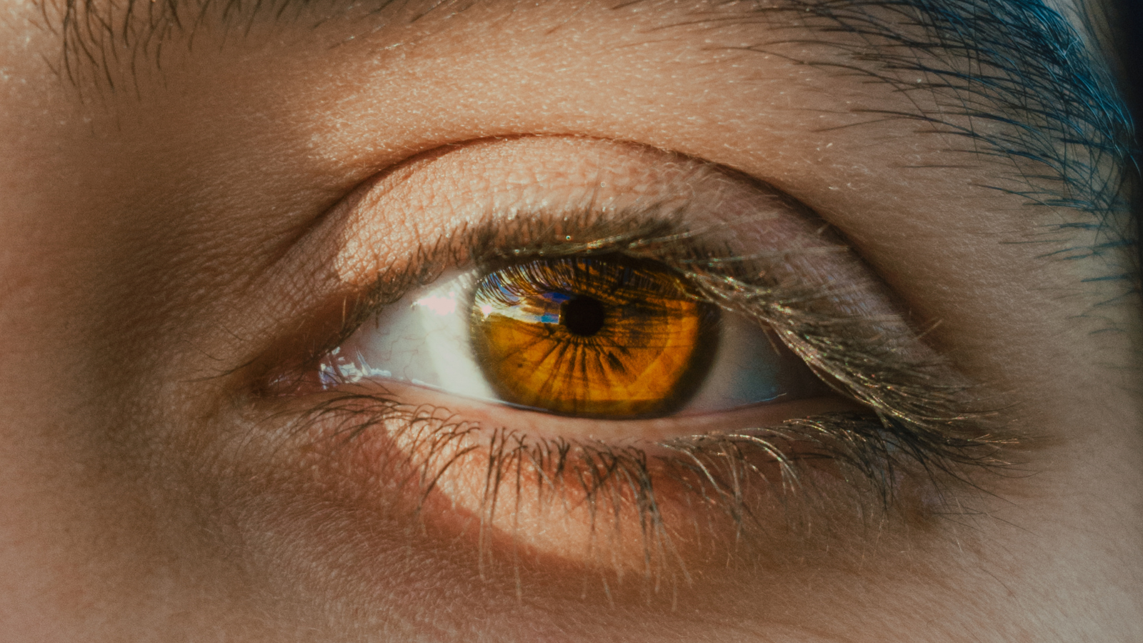 Tổng quan về giải phẫu đồng tử