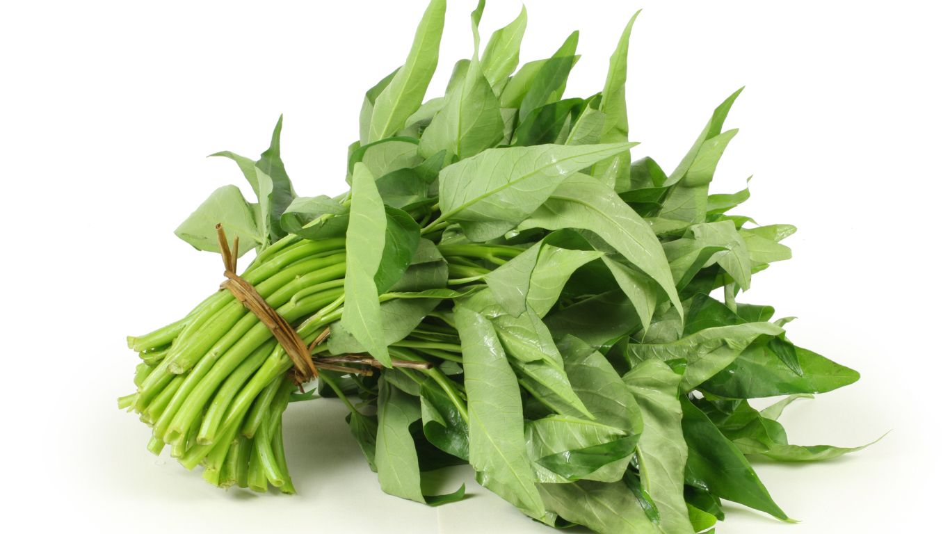 Đốt mụn cóc: Những thông tin quan trọng cần biết