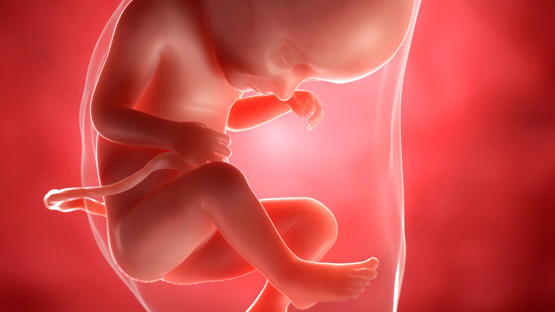 Dư ối và đa ối đều là tình trạng tăng lượng nước ối trong buồng tử cung