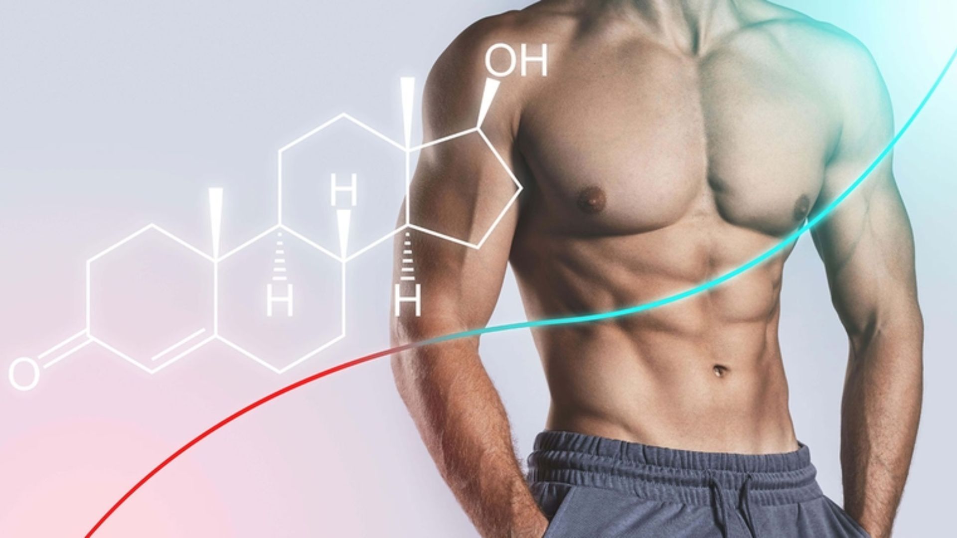 Testosterone là hormone sinh dục đóng vai trò quan trọng trong cơ chế cương dương