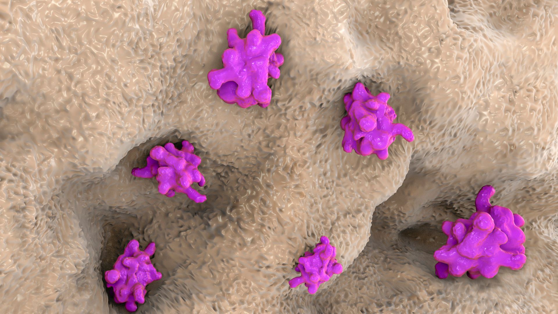 E. histolytica là một loại ký sinh trùng đơn bào có khả năng gây bệnh nguy hiểm cho con người