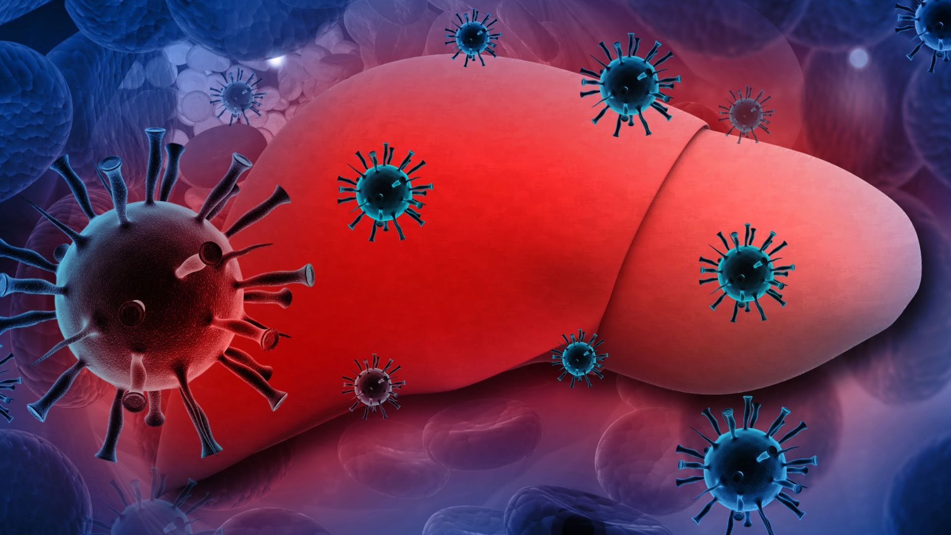 engerix-b-20mcg-bi-la-chan-bao-ve-khoi-viem-gan-b 2.jpg