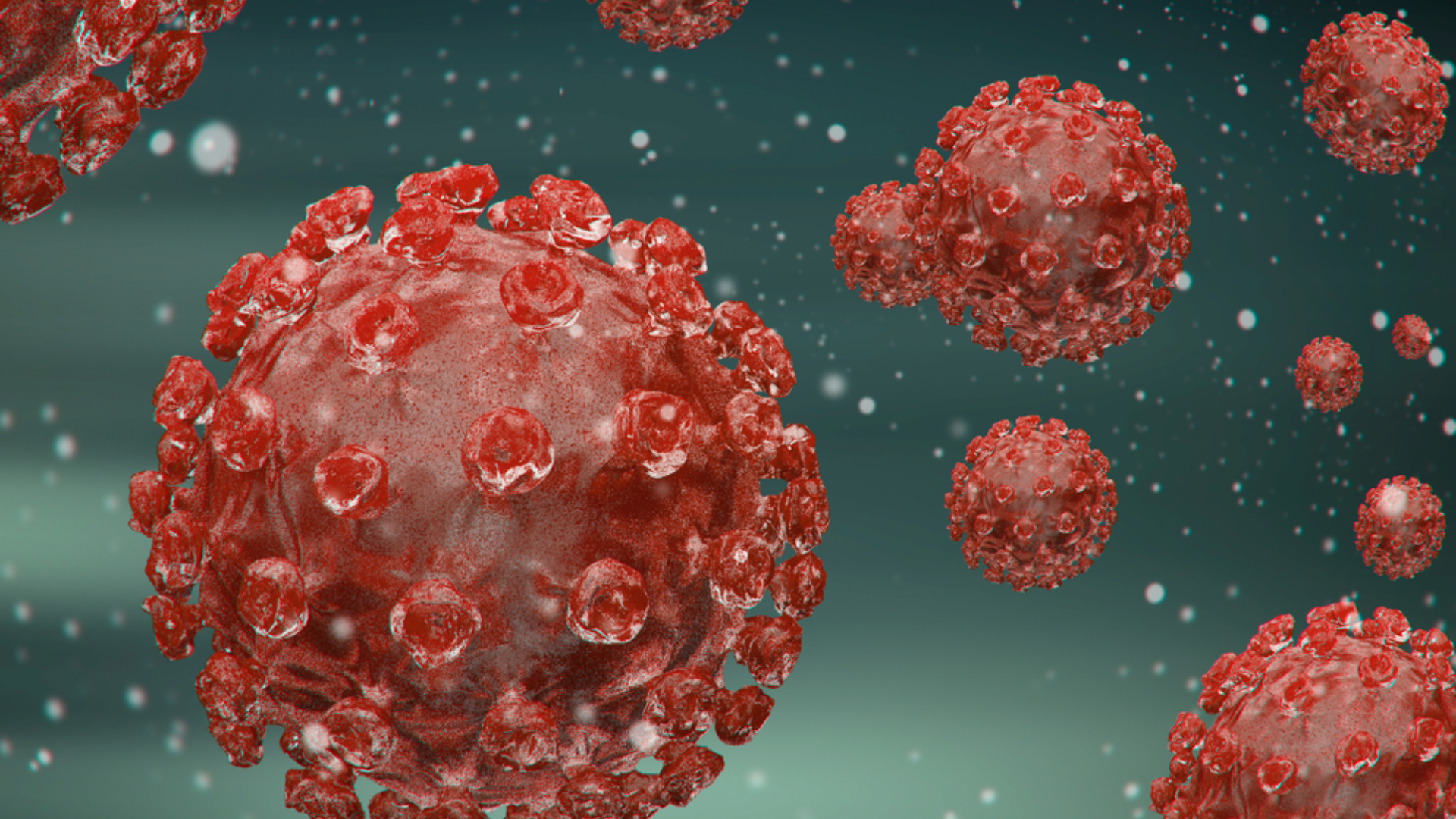 Enterovirus 71 tồn tại lâu ngoài môi trường, trên bề mặt đồ chơi tay nắm cửa gây nguy cơ lây nhiễm cộng đồng