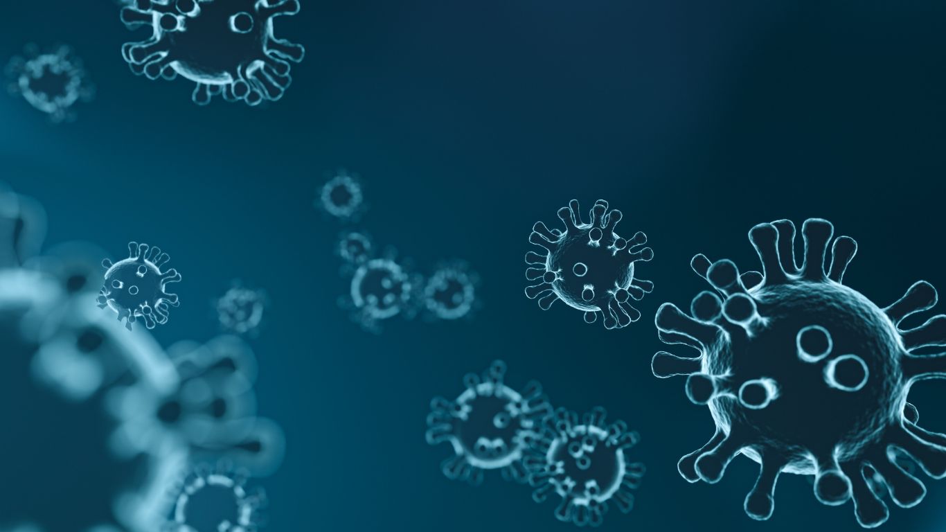 enterovirus-la-gi-nhung-dieu-can-biet-ve-enterovirus 3