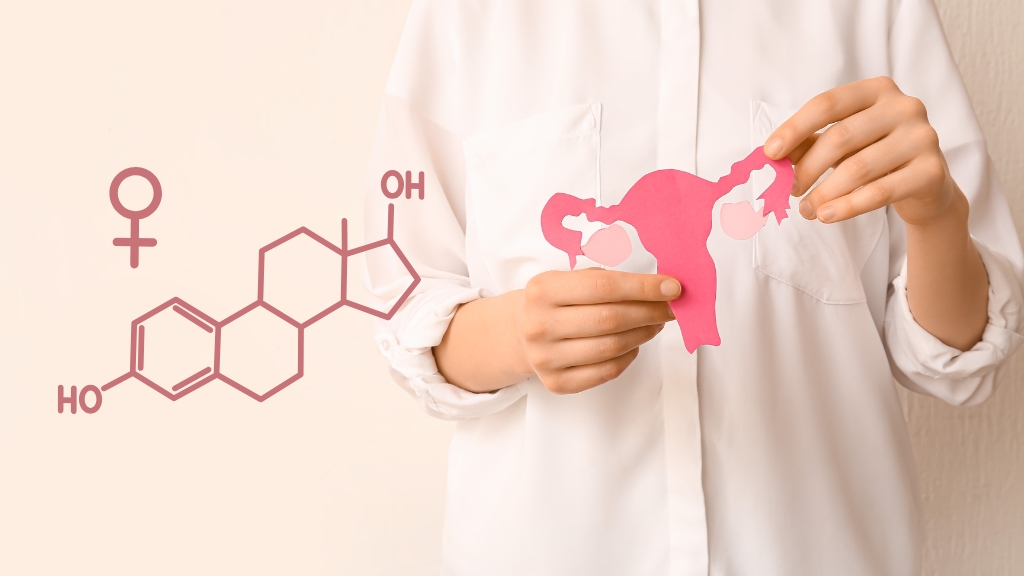 Tìm hiểu chi tiết về hormone estrogen là gì