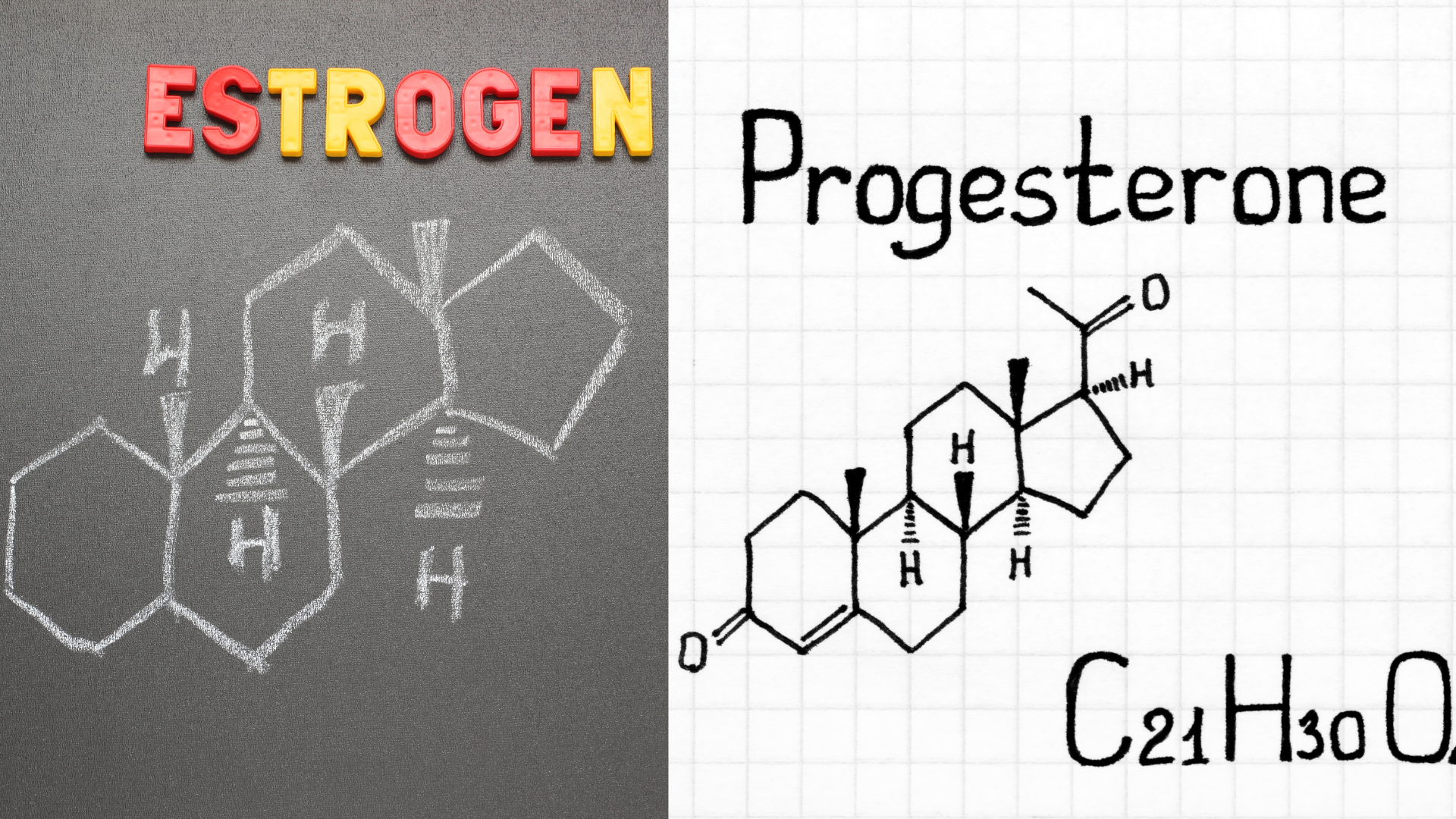 Estrogen và progesterone: Vai trò, sự khác biệt và cách cân bằng hormone nữ 1