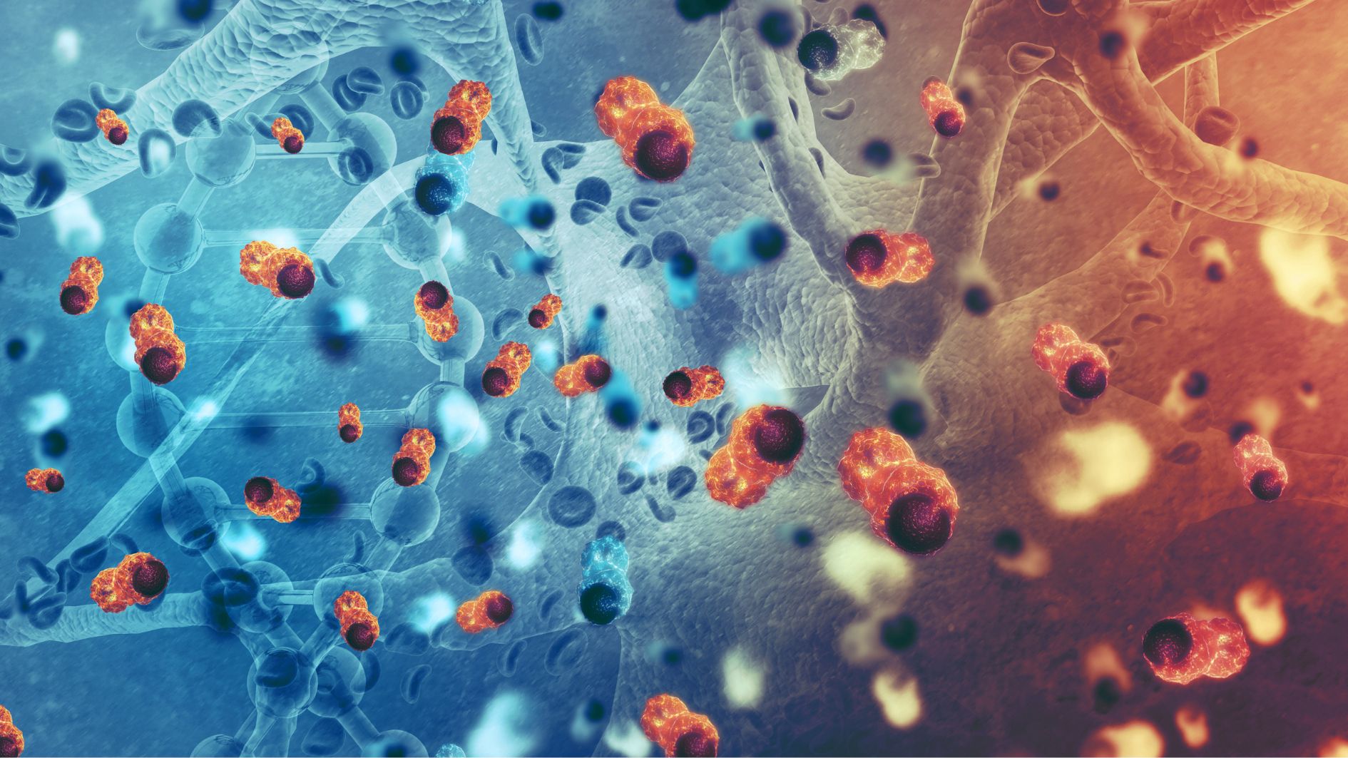 Flavonoid là chất chống oxy hóa giúp bảo vệ cơ thể và ức chế tế bào ung thư