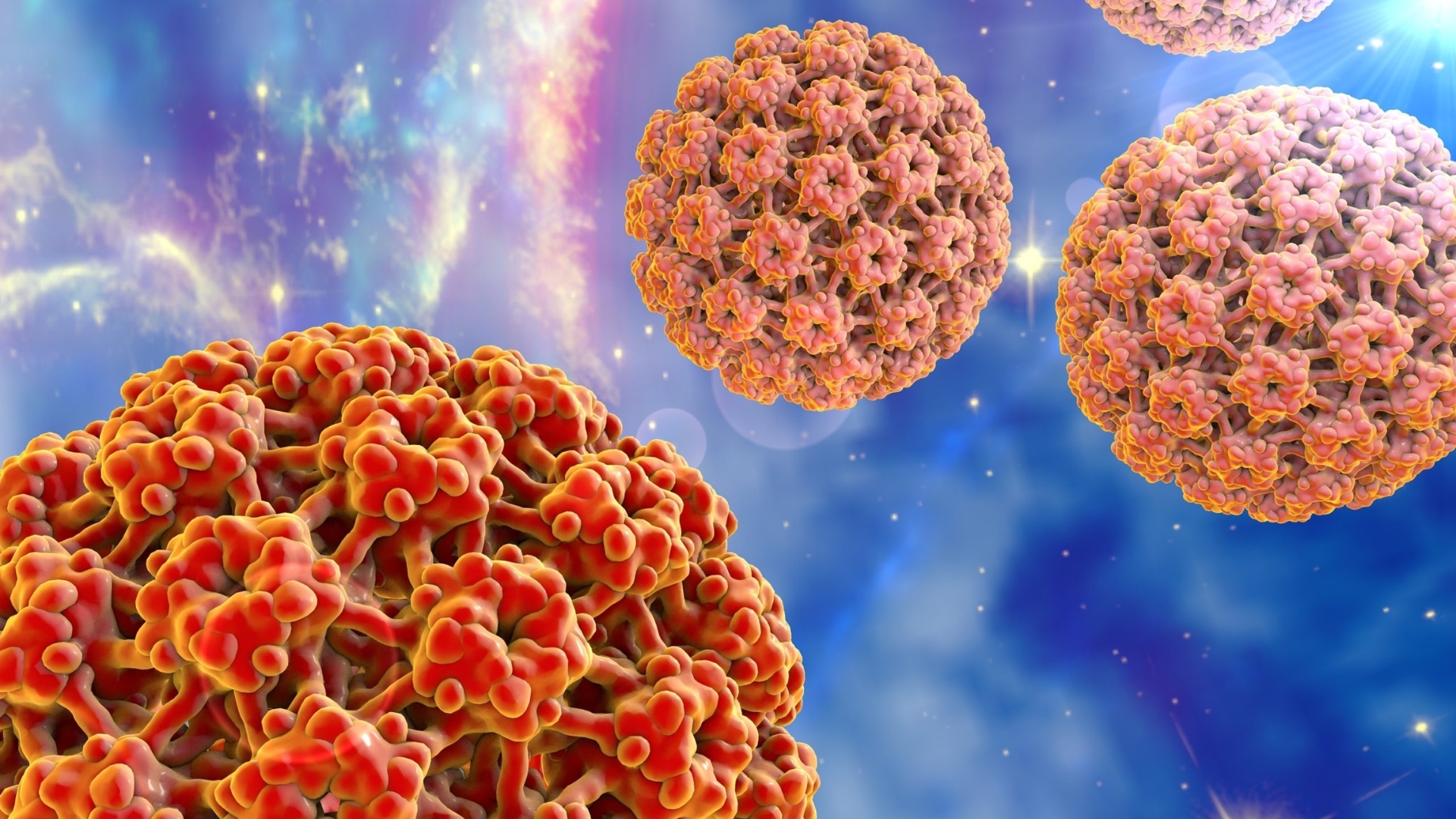 Sùi mào gà là bệnh do virus HPV gây ra