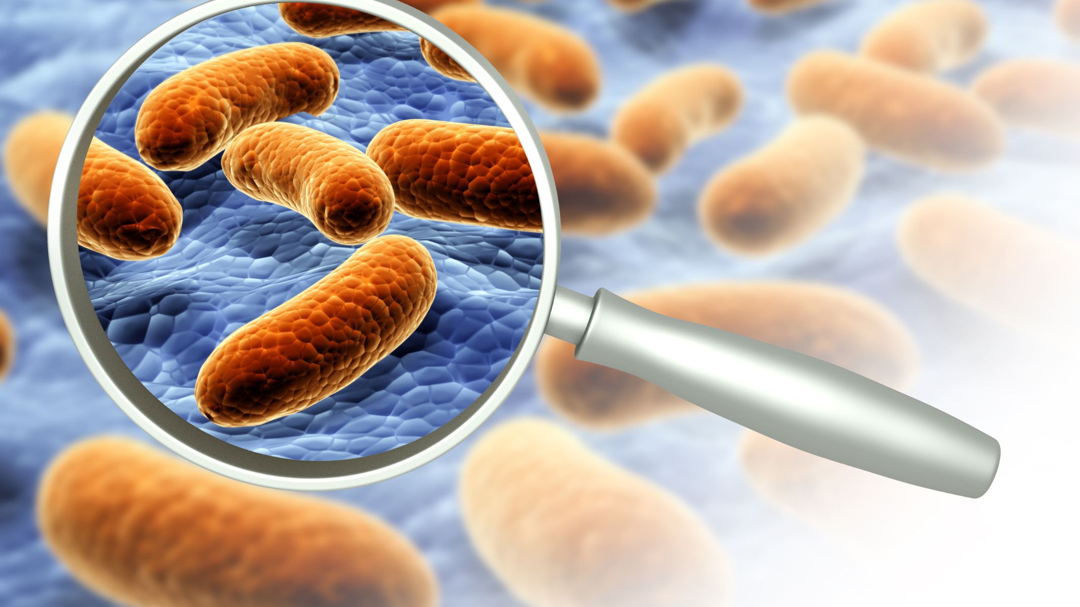 Bệnh ghẻ bìu có nguy hiểm không?