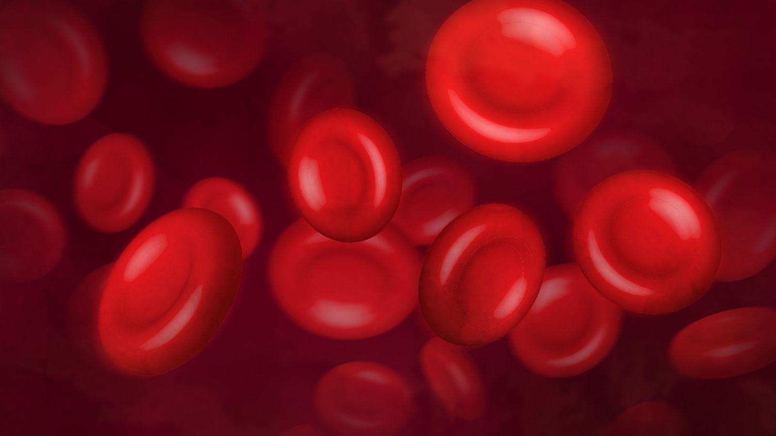 Thiếu máu là tình trạng số lượng hồng cầu hoặc lượng hemoglobin trong máu thấp hơn mức bình thường