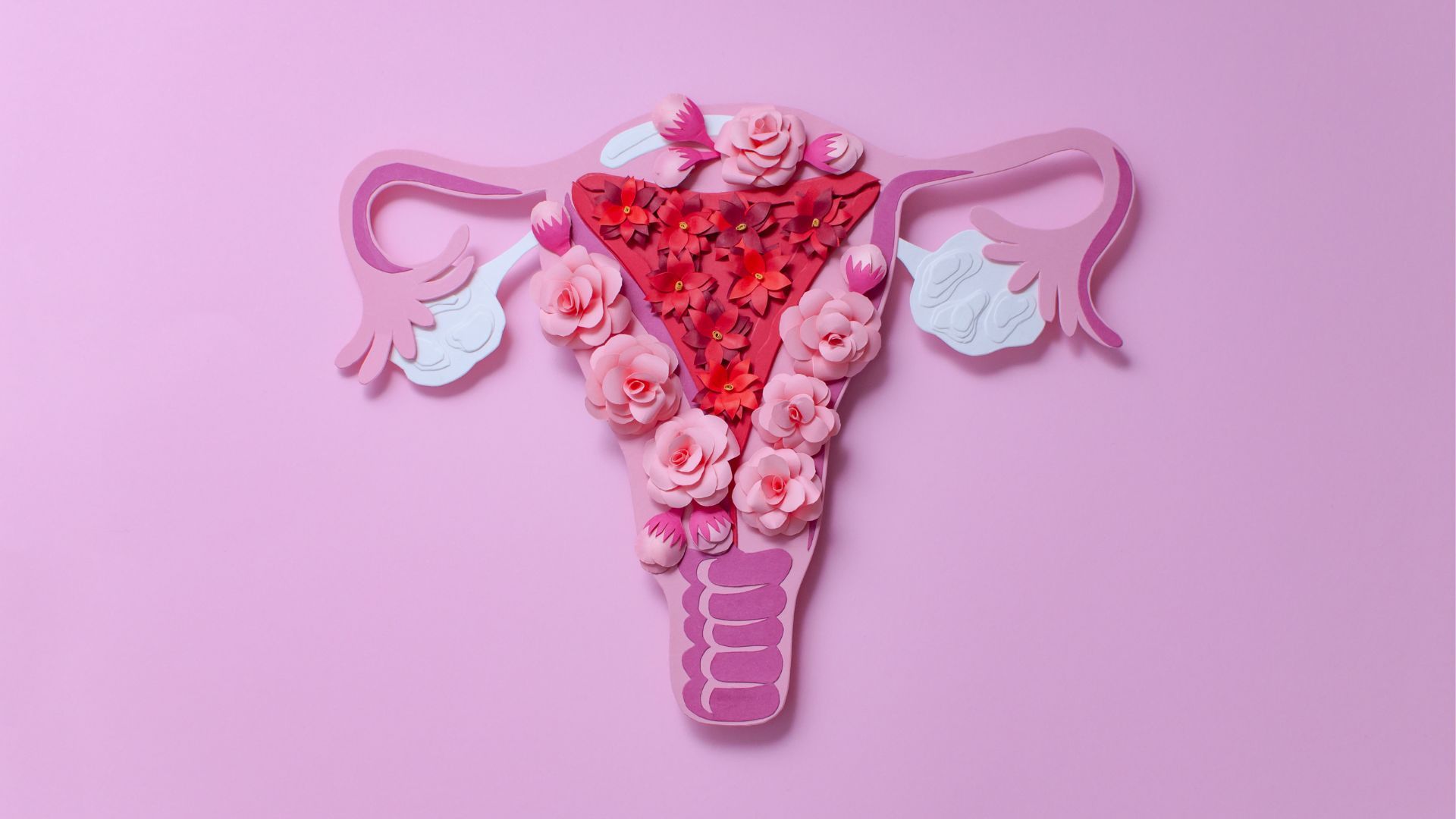 Tình trạng vòi trứng là một trong các yếu tố quyết định đến việc có làm IUI được không