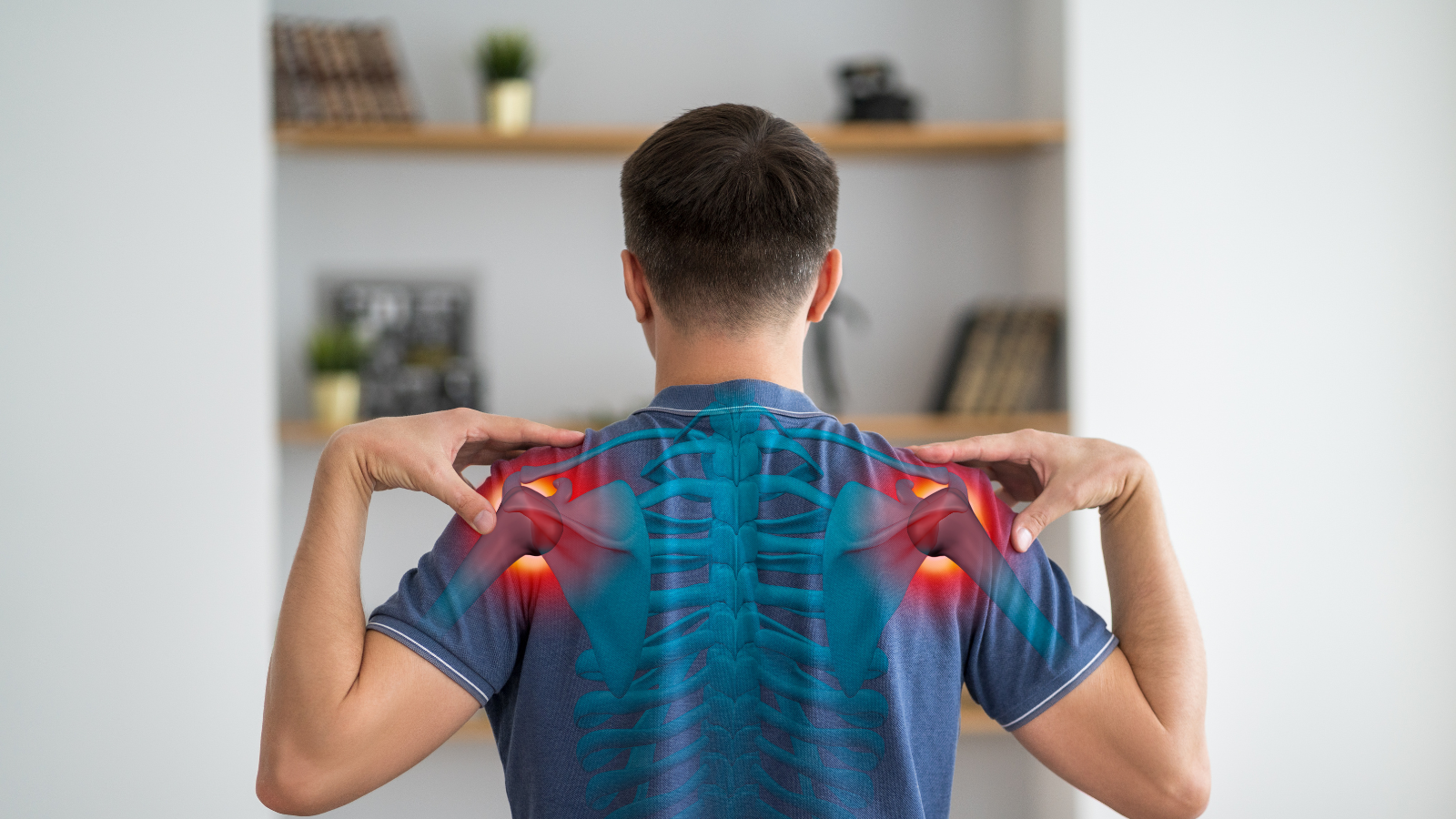 Khớp vai là sự kết hợp hài hòa giữa xương bả vai, xương cánh tay trên và xương đòn