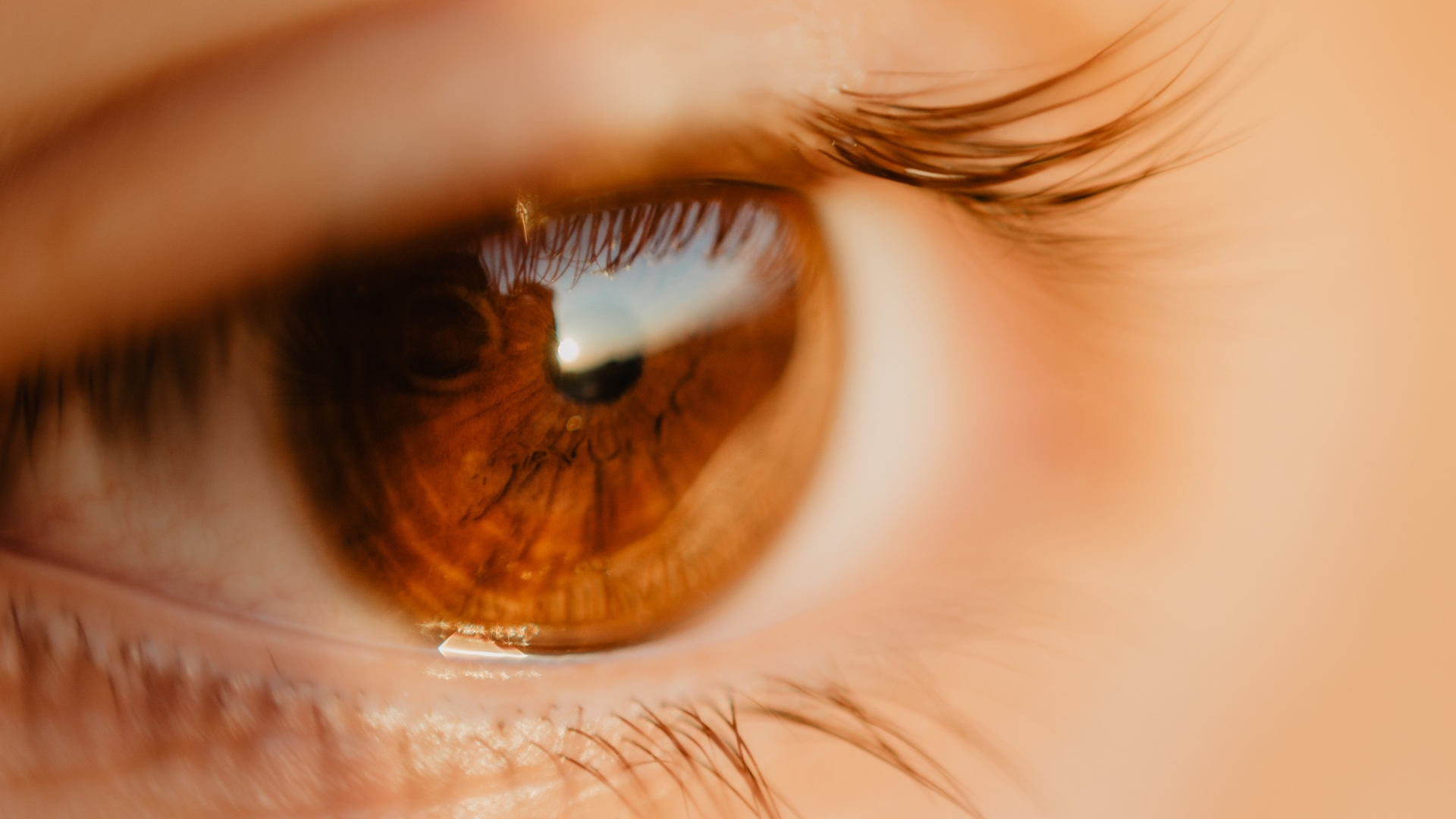 Cấu tạo bên ngoài của mắt bao gồm các bộ phận có thể quan sát được bằng mắt thường hoặc thông qua các dụng cụ khám đơn giản