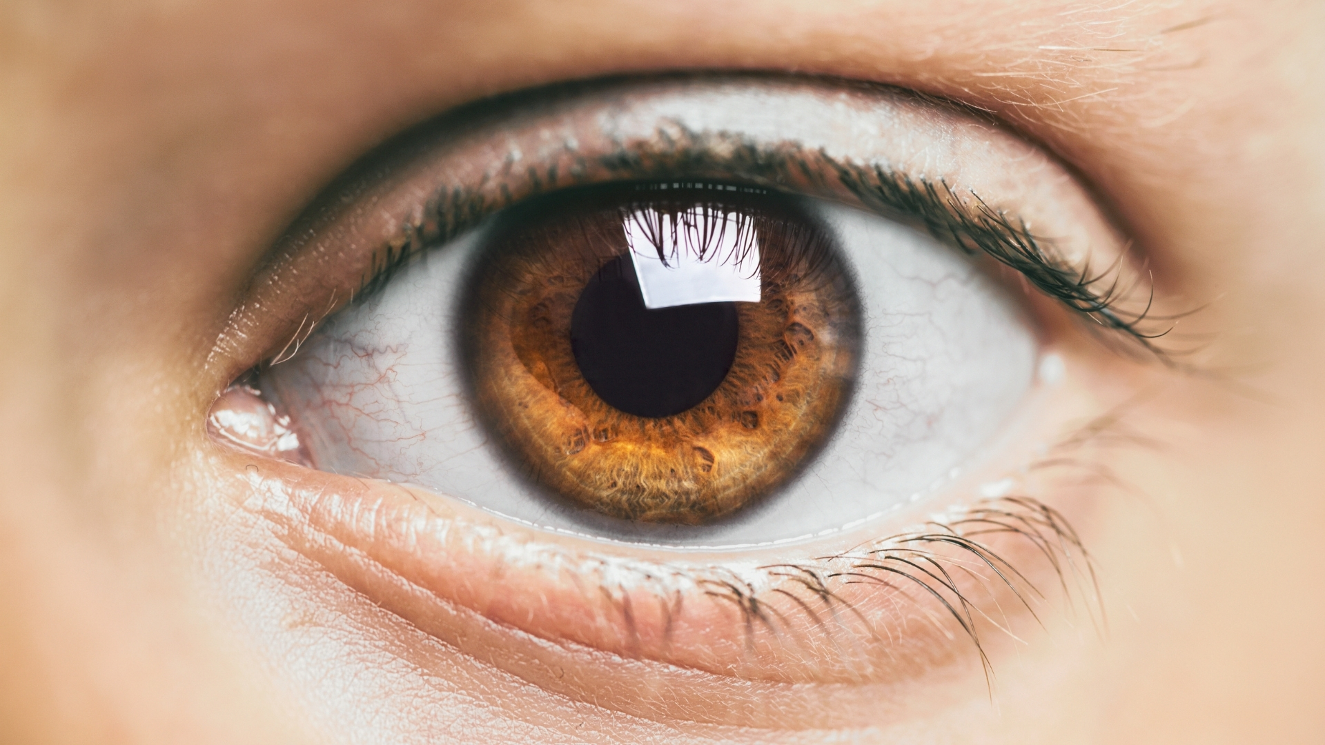 Thủy tinh thể là một thấu kính trong suốt có khả năng đàn hồi, giúp thay đổi độ cong để điều chỉnh tiêu cự