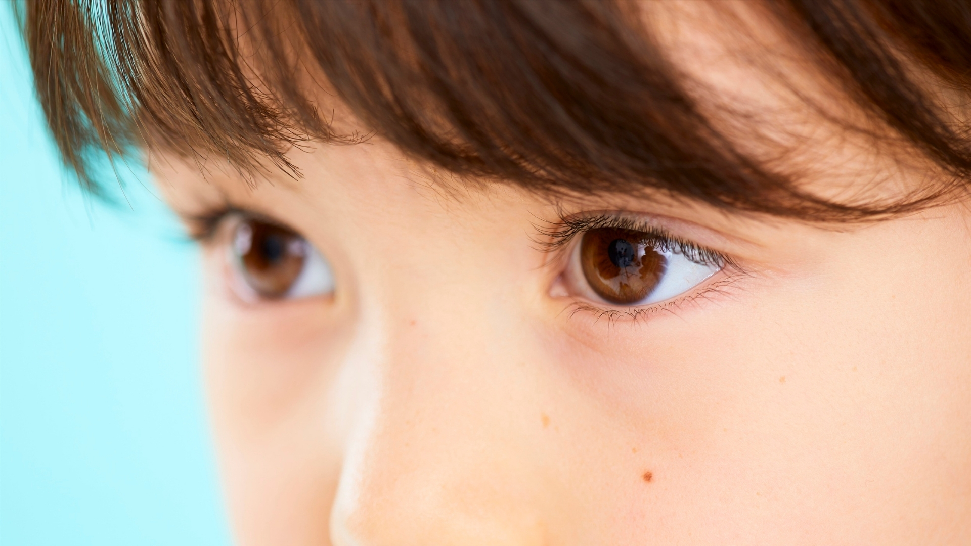 Màu mắt được xác định chủ yếu bởi lượng sắc tố melanin trong mống mắt và yếu tố di truyền từ bố mẹ