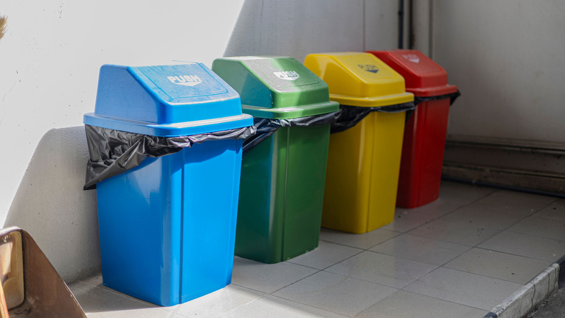 Giữ nhà sạch là cách tốt nhất ngăn ngừa gián