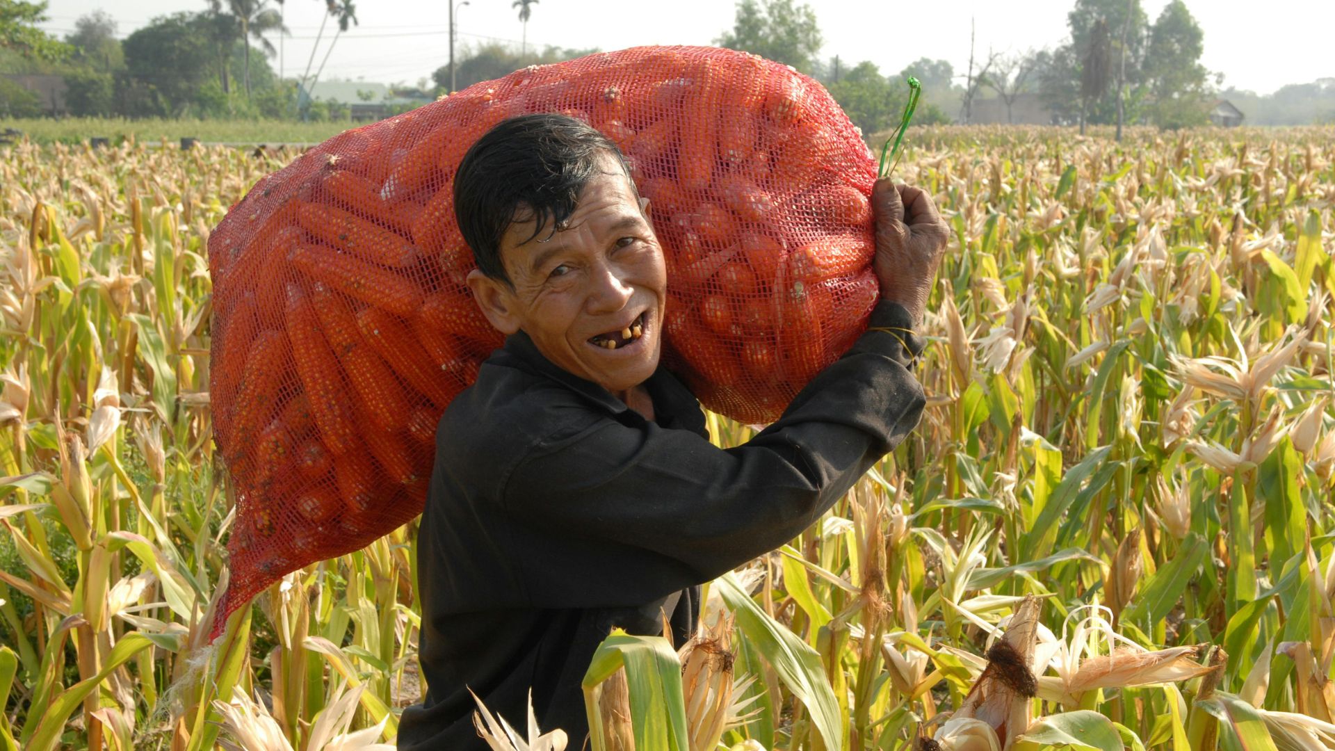 Thường xuyên mang vác nặng sai tư thế có thể là nguyên nhân gây giãn dây chằng lưng