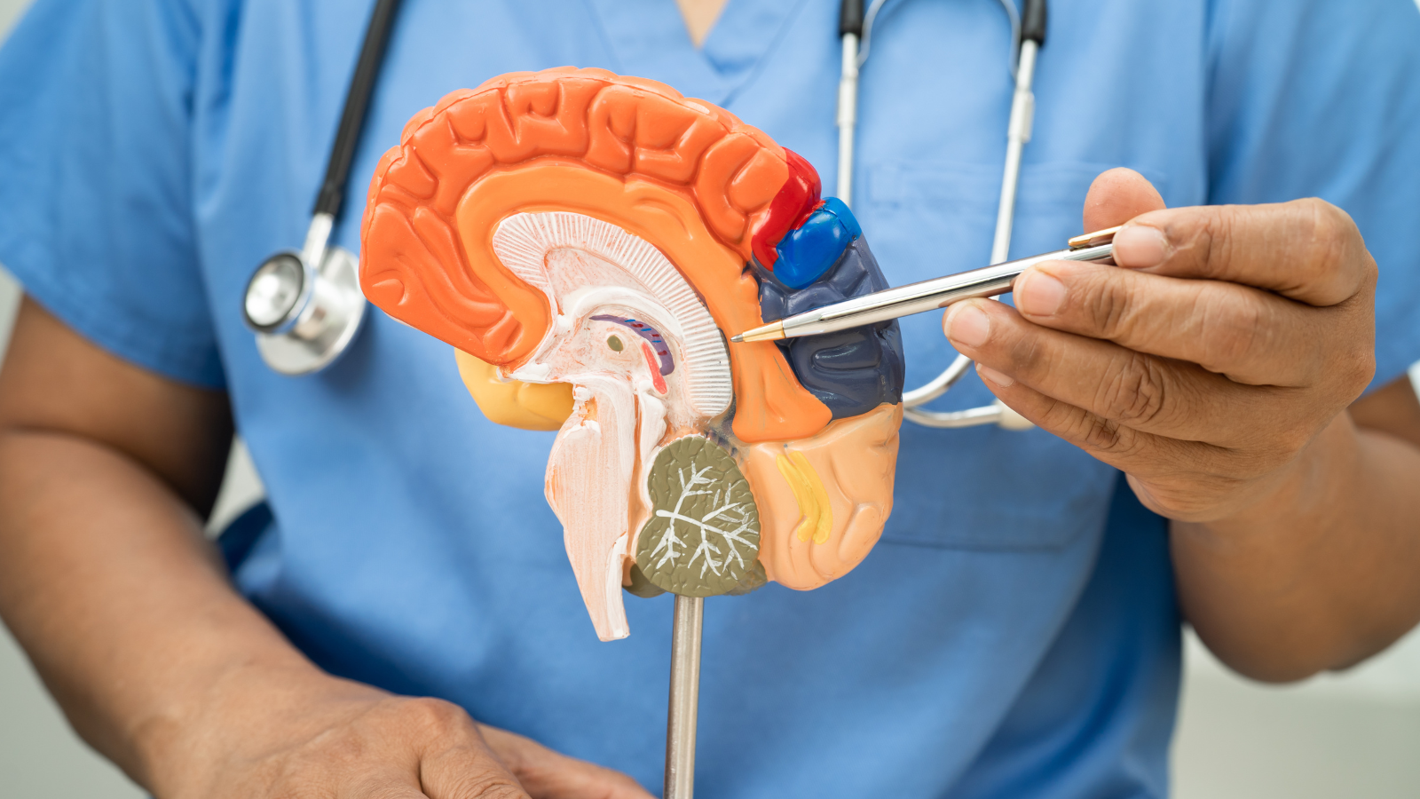 Giãn não thất: Nguyên nhân, triệu chứng và cách điều trị 1