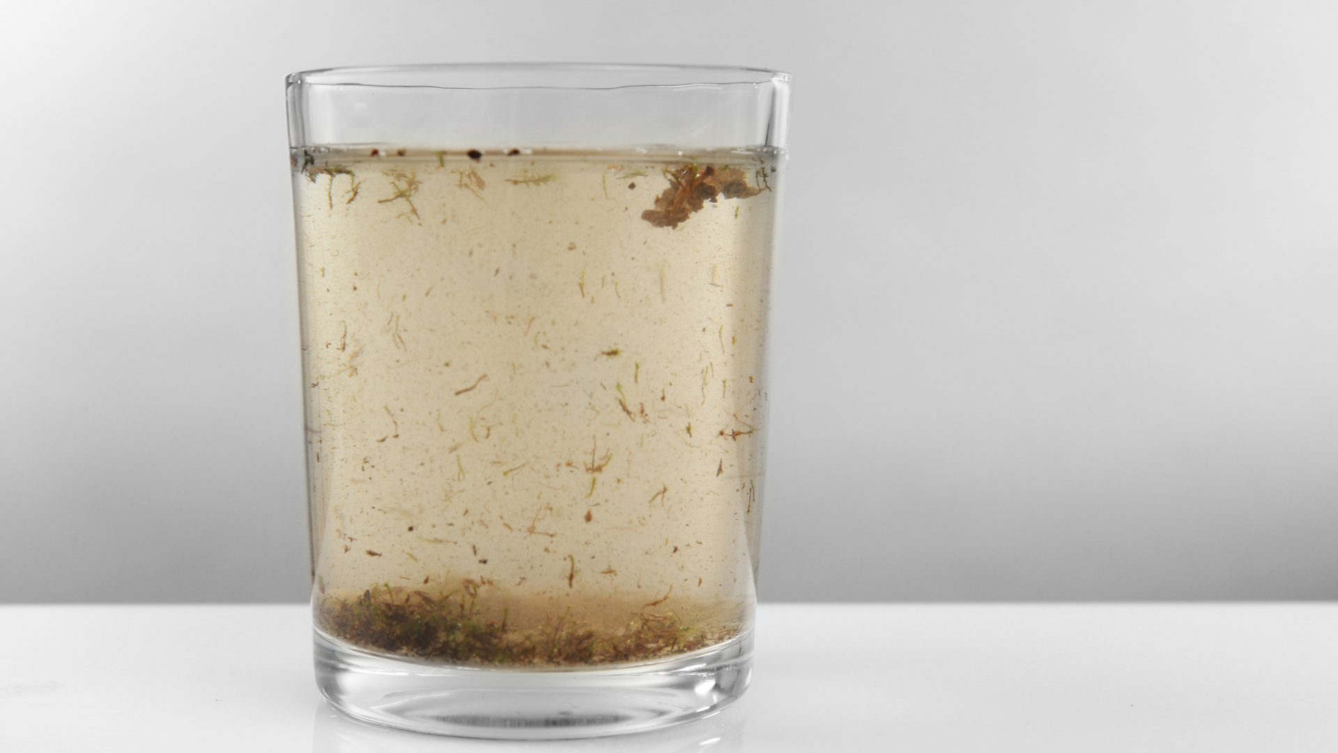 Sử dụng nguồn nước bẩn có thể tiềm ẩn nguy cơ nhiễm giun tóc