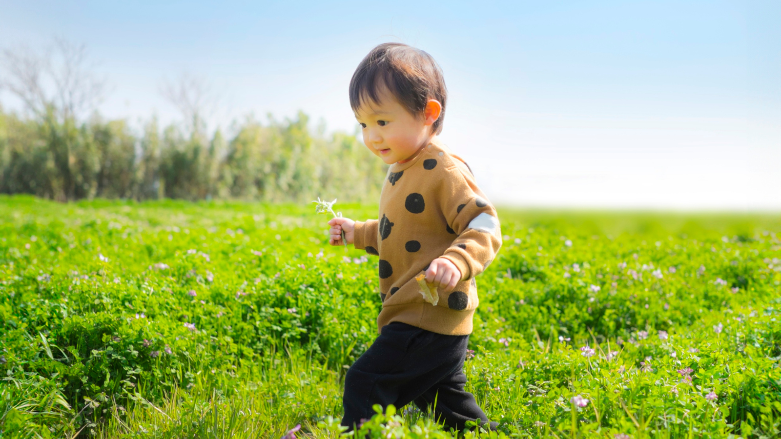 Cha mẹ nên cho bé tham gia các hoạt động thể chất nhẹ như đi dạo ngoài trời, vận động đơn giản