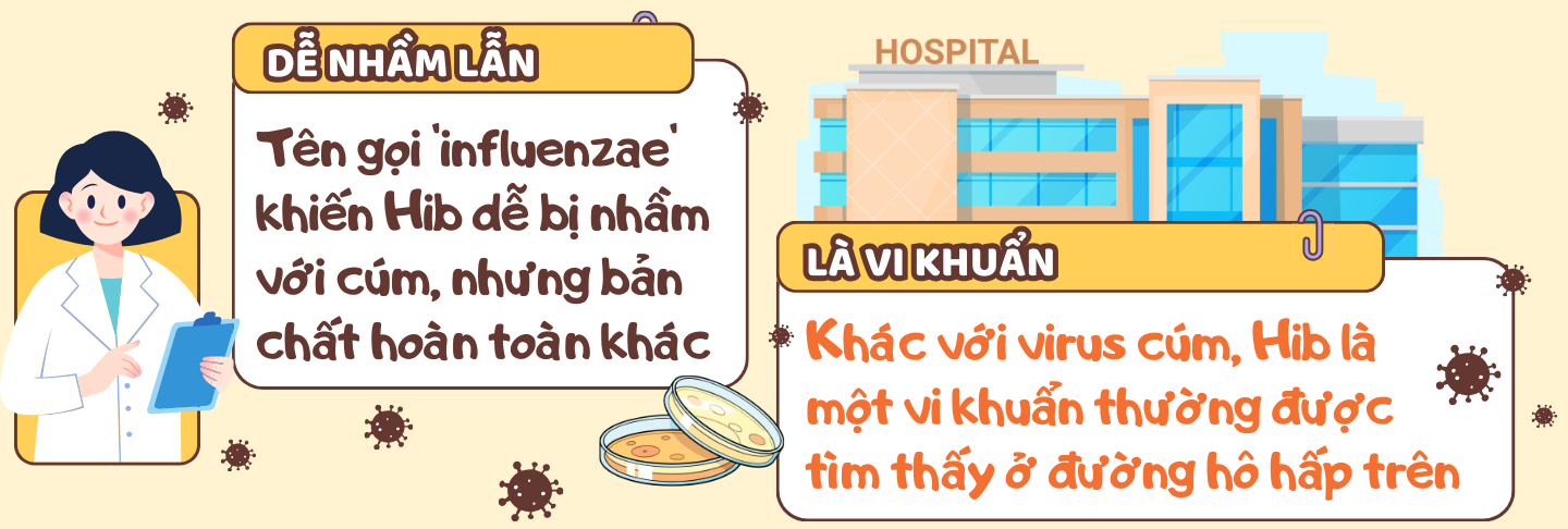 haemophilus-influenzae-typ-b-tac-nhan-nguy-hiem-gay-benh-nang-o-tre-em-9.png
