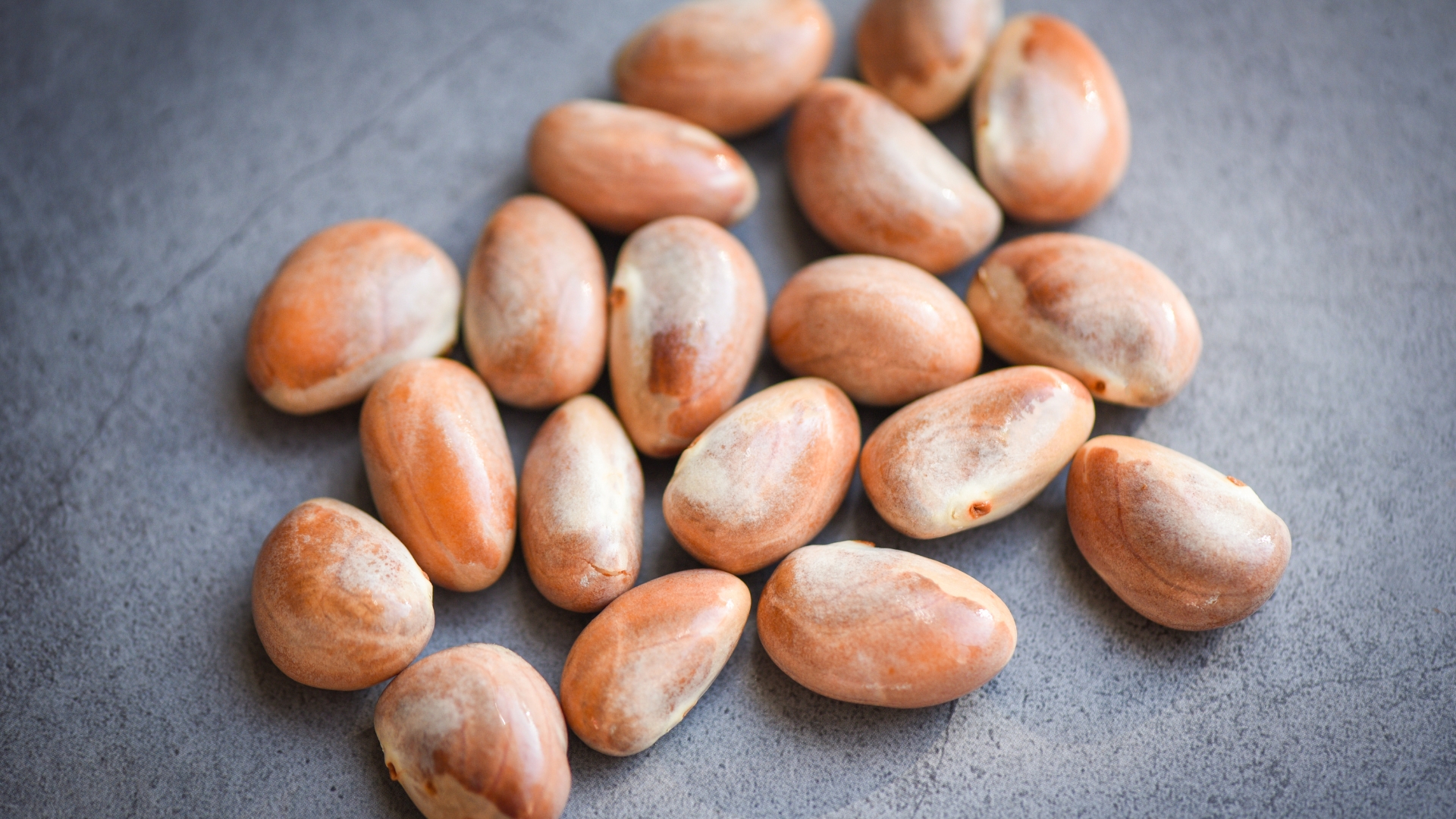 Thành phần dinh dưỡng trong hạt mít rất phong phú, gồm chất xơ, vitamin nhóm B, khoáng chất, protein và tinh bột