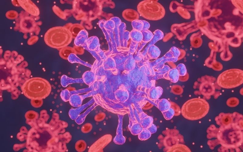 Tăng tiểu cầu có phải là ung thư máu không còn tùy thuộc vào tình trạng tăng tiểu cầu là tiên phát hay thứ phát