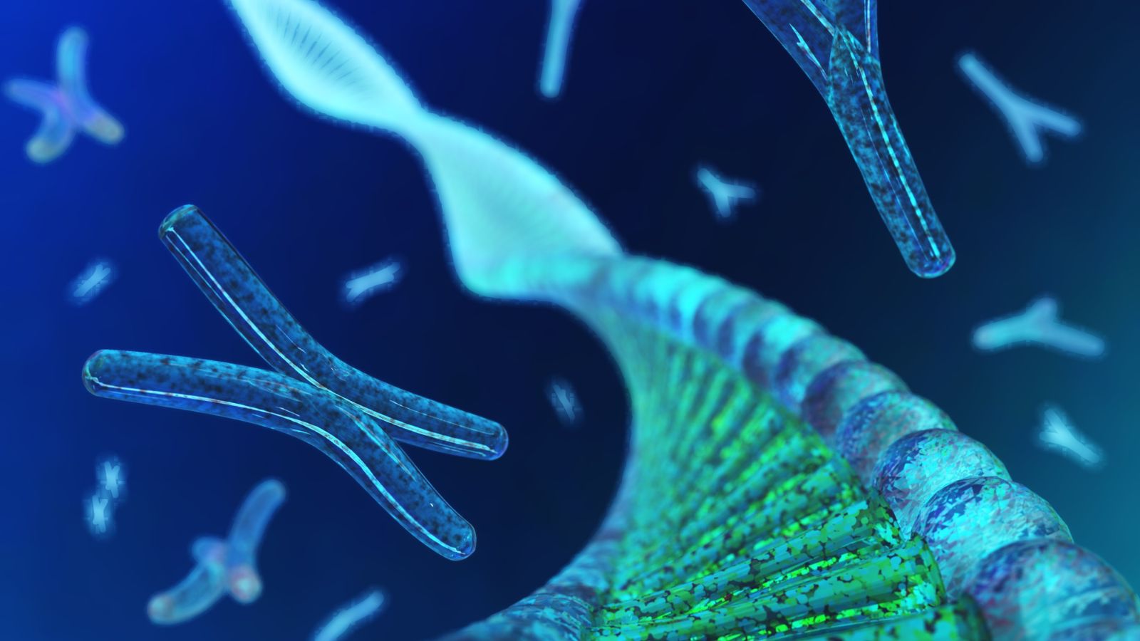 HCV RNA là xét nghiệm dùng để phát hiện vật chất di truyền RNA của virus viêm gan C