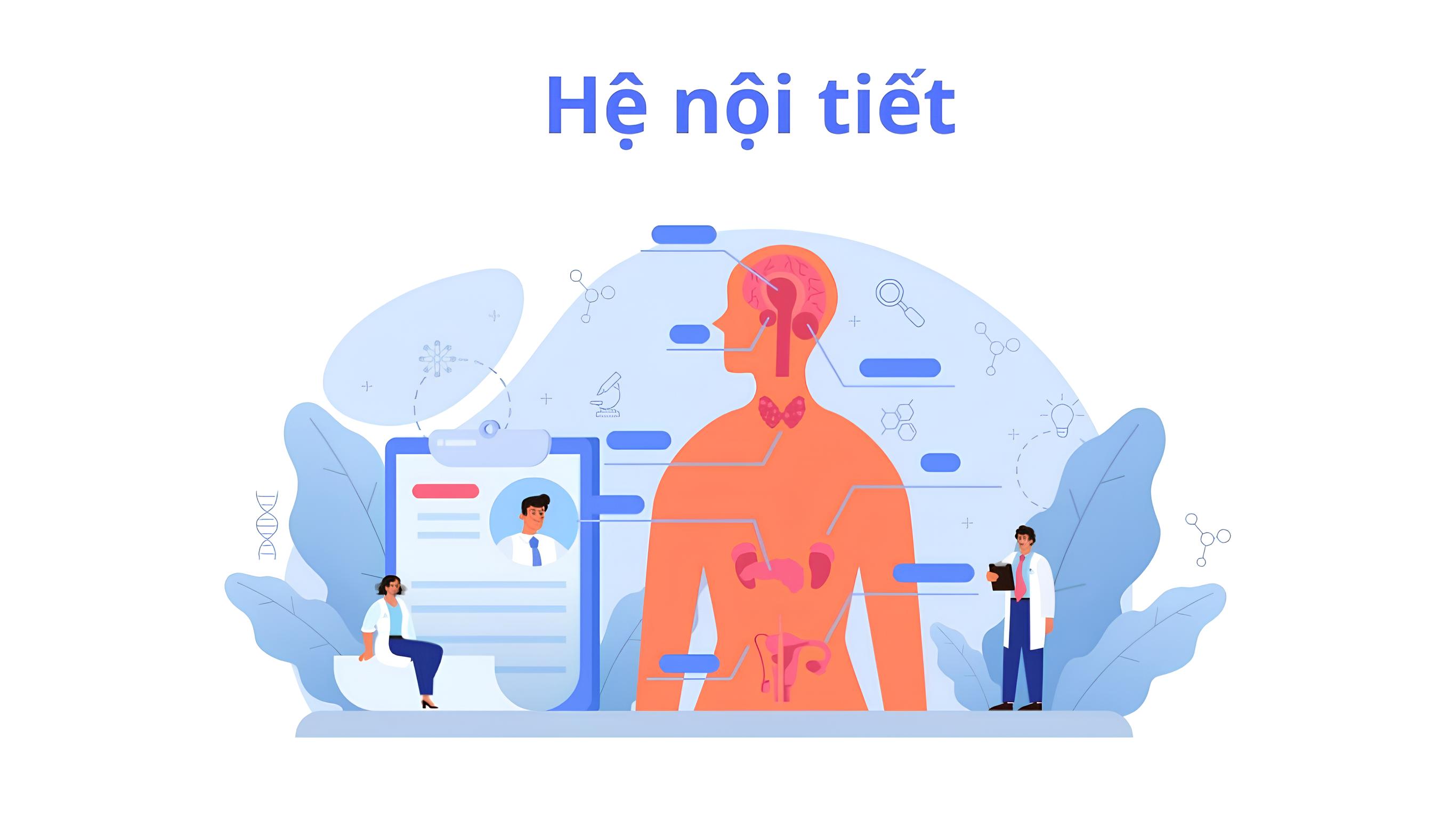 Hệ nội tiết là gì? Chức năng của hệ nội tiết trong cơ thể 1